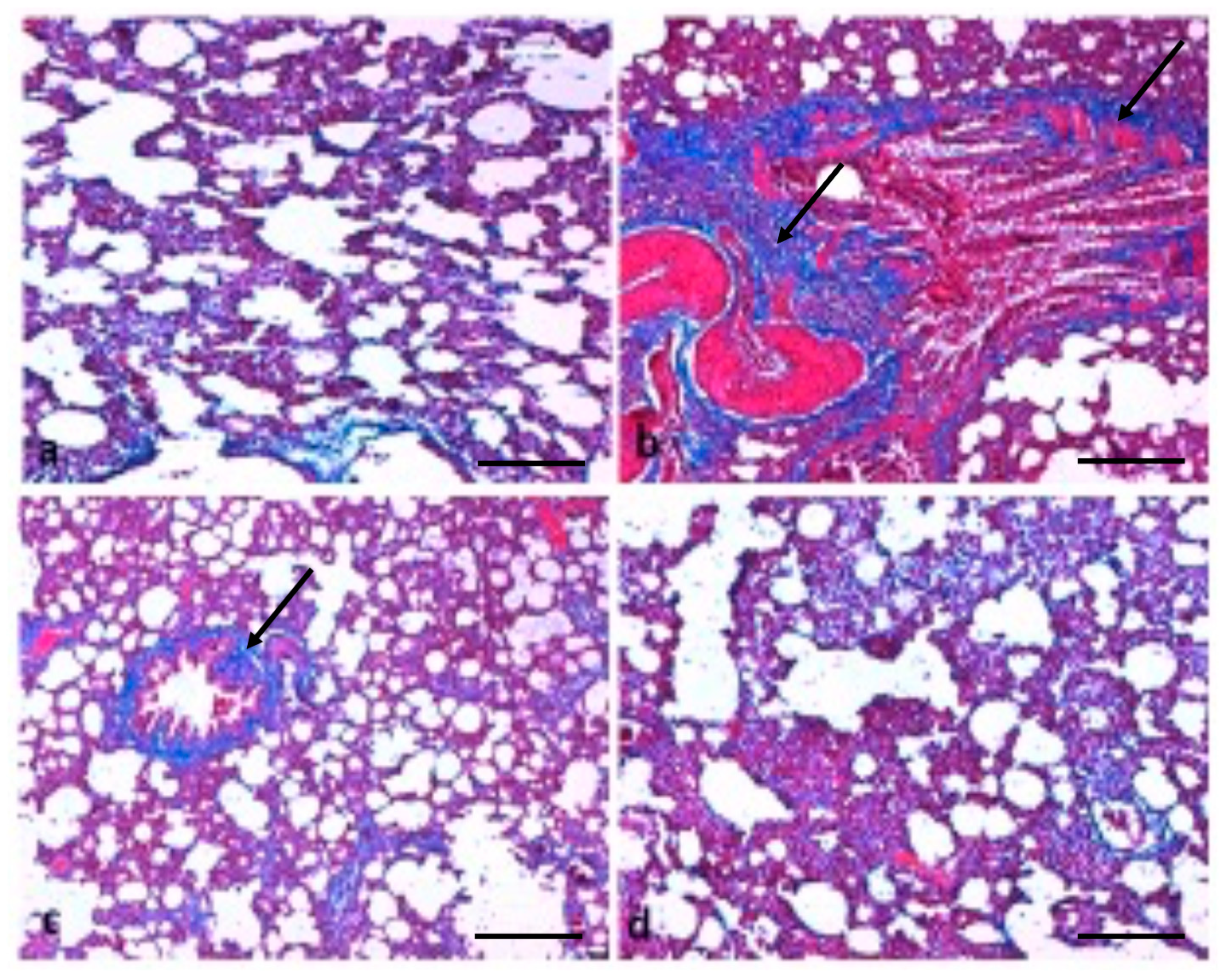 Molecules 26 03218 g007 Molecules 26 03218 g007
