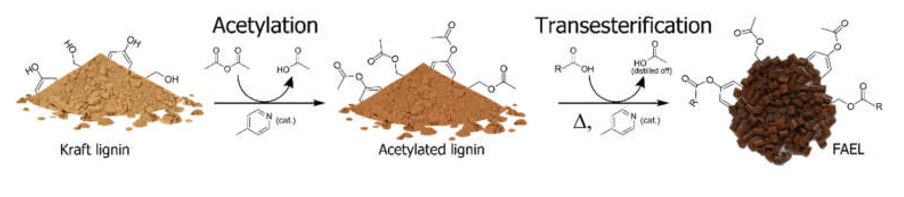 Molecules 26 03219 g001 Molecules 26 03219 g001
