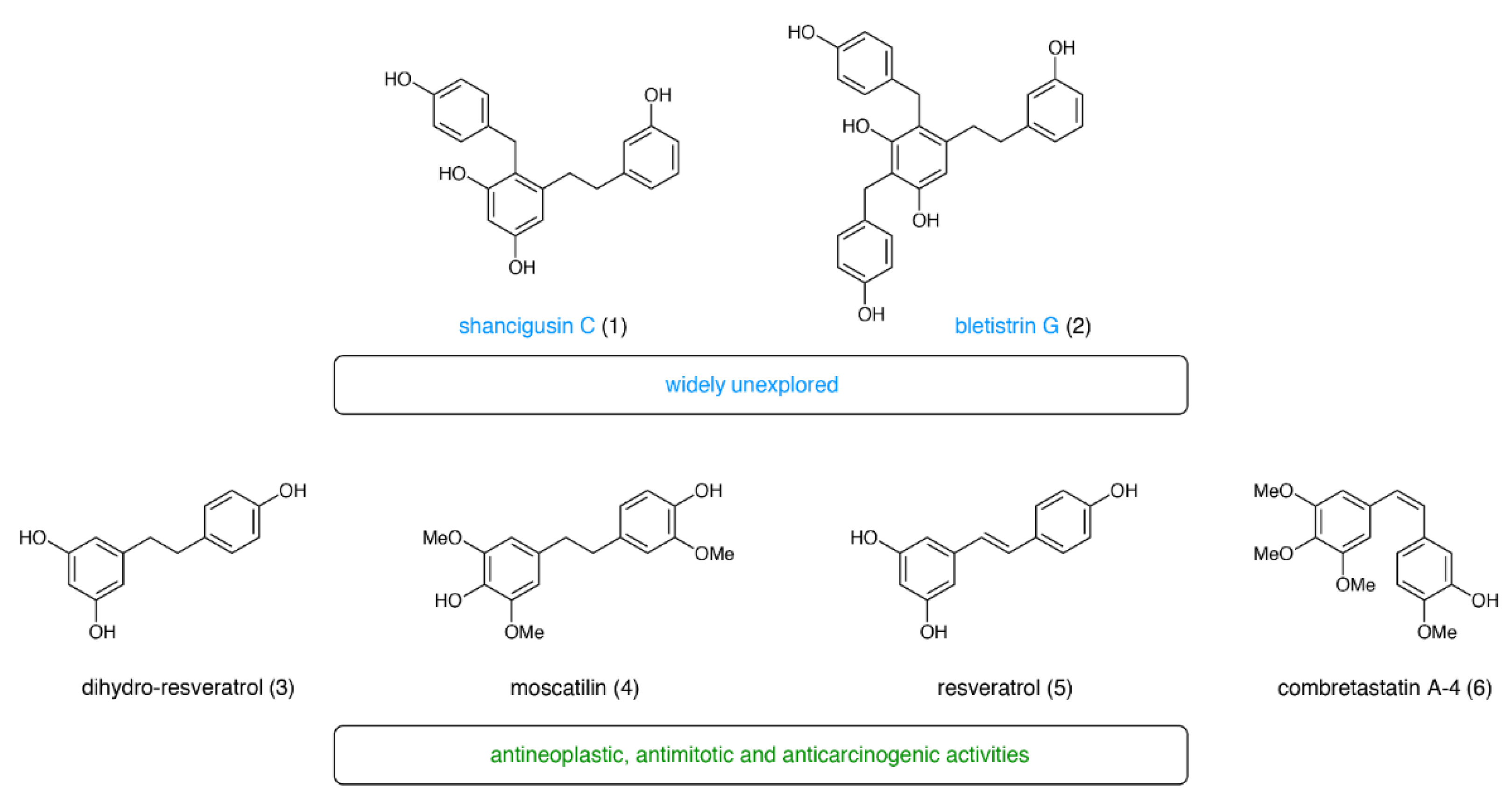 Molecules 26 03224 g001 Molecules 26 03224 g001