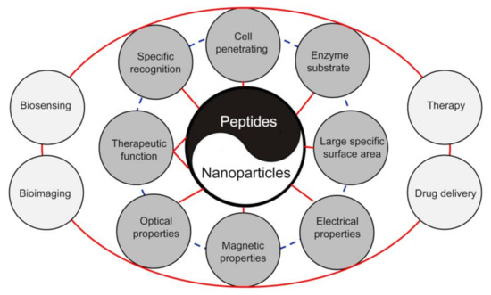 The Peptide Functionalized Inorganic Nanoparticles for