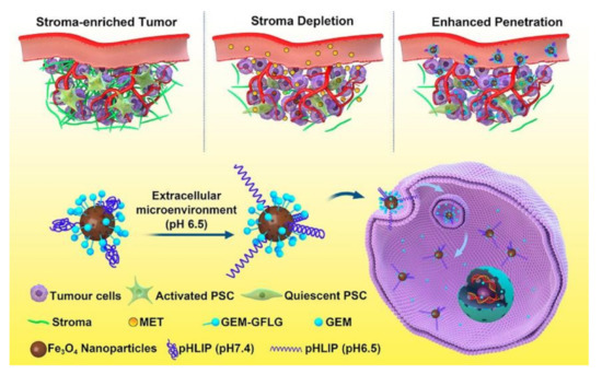 The Peptide Functionalized Inorganic Nanoparticles for