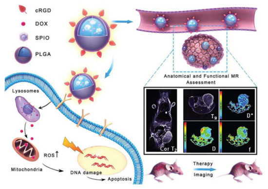 The Peptide Functionalized Inorganic Nanoparticles for The Peptide Functionalized Inorganic Nanoparticles for