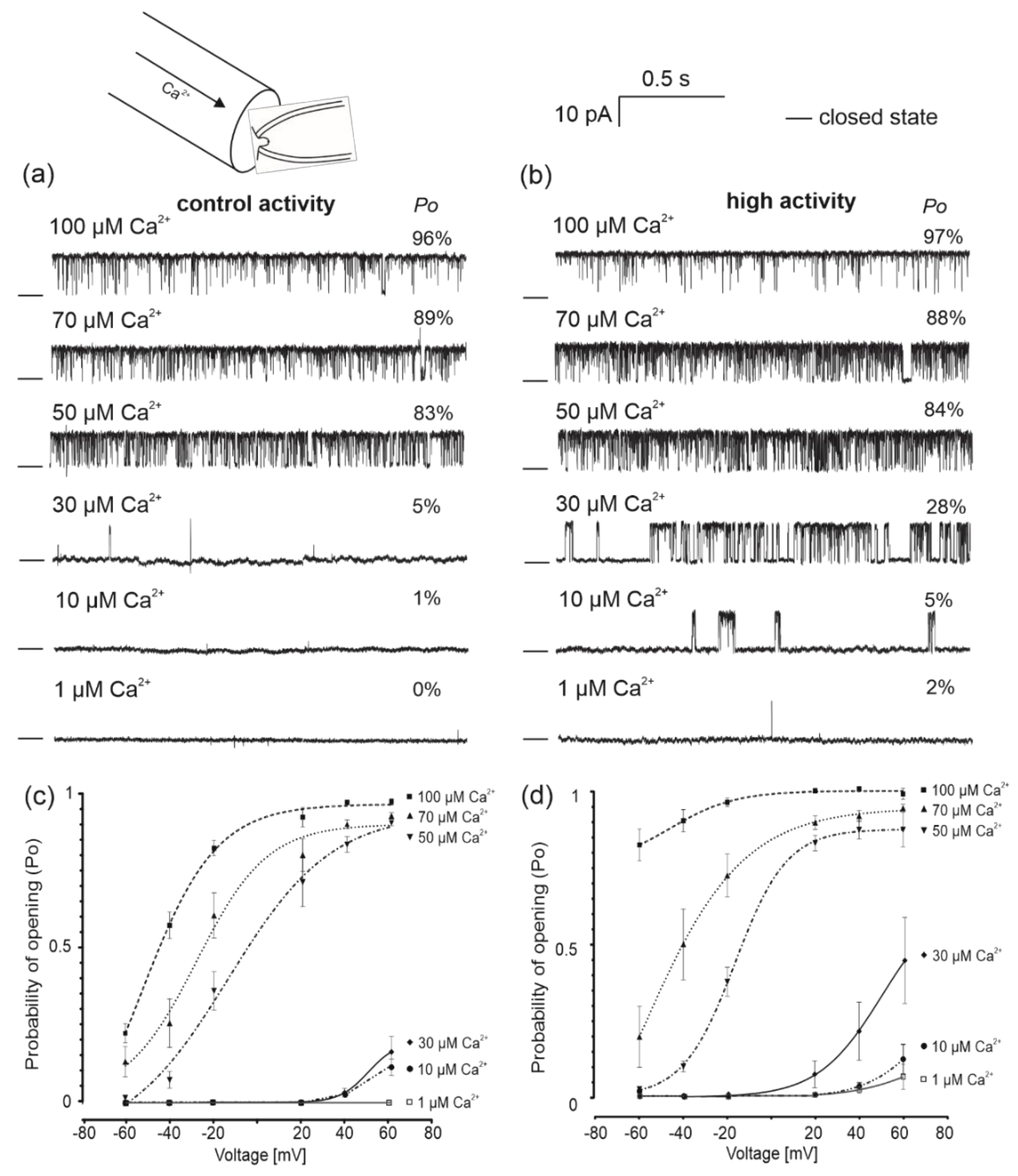 Molecules 26 03233 g003