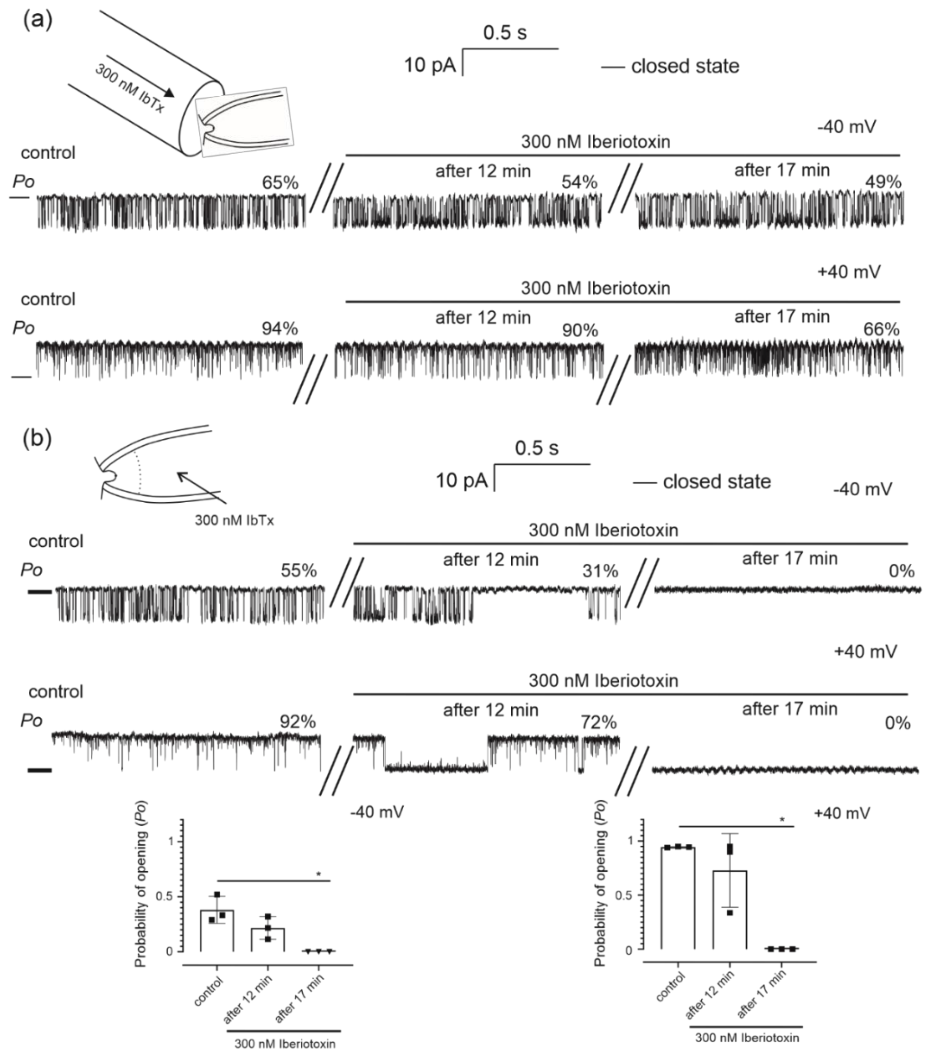 Molecules 26 03233 g005