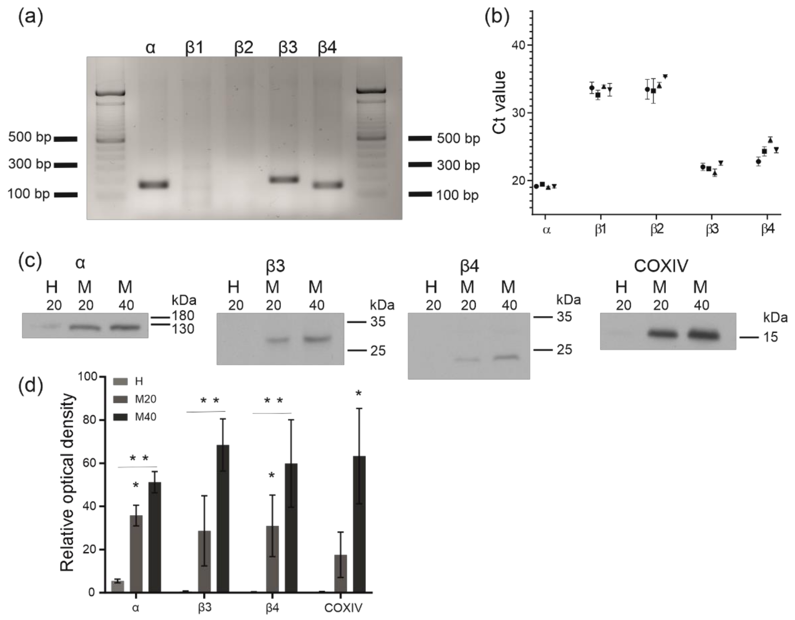 Molecules 26 03233 g006