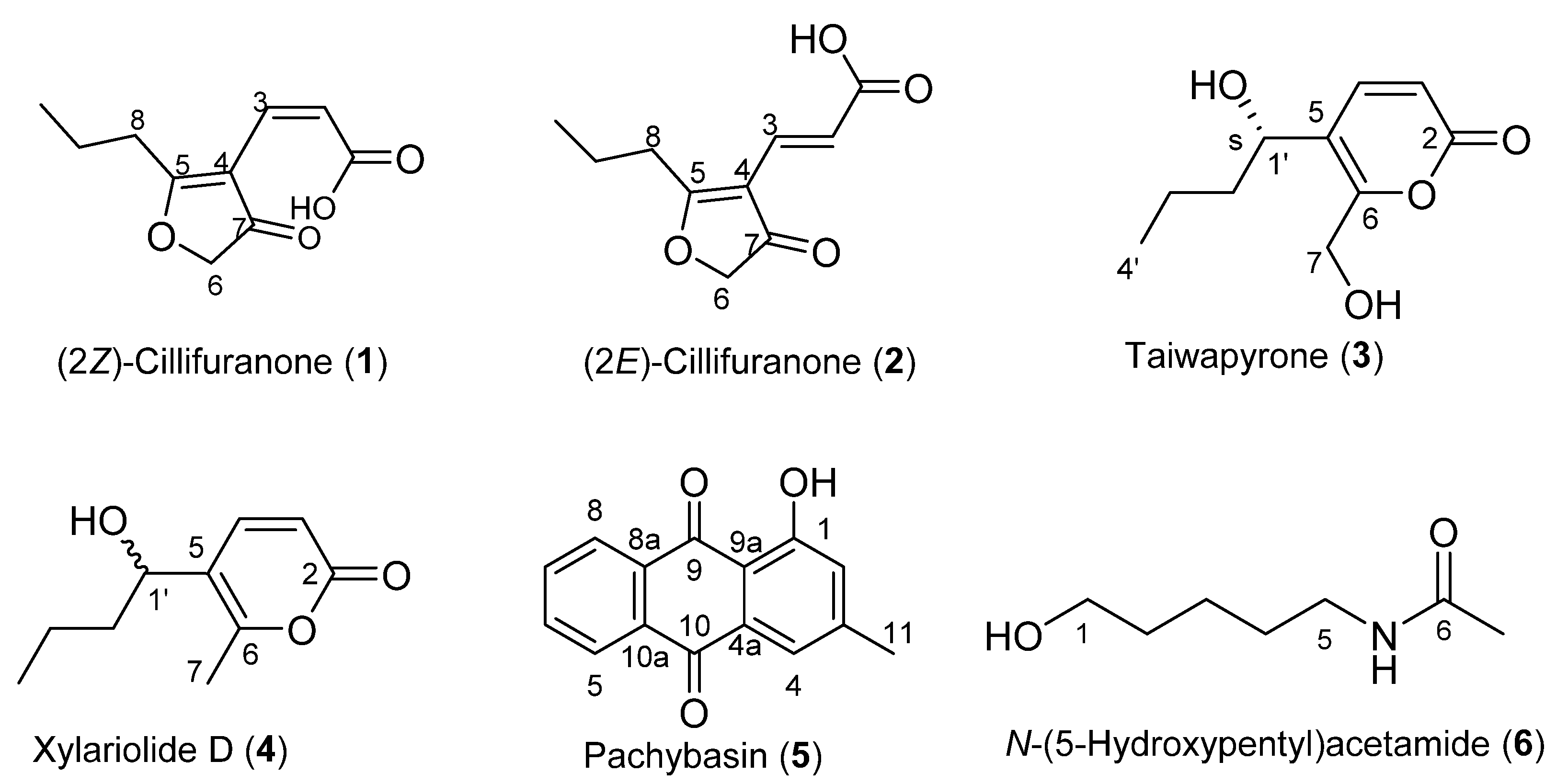 Molecules 26 03235 g001 Molecules 26 03235 g001