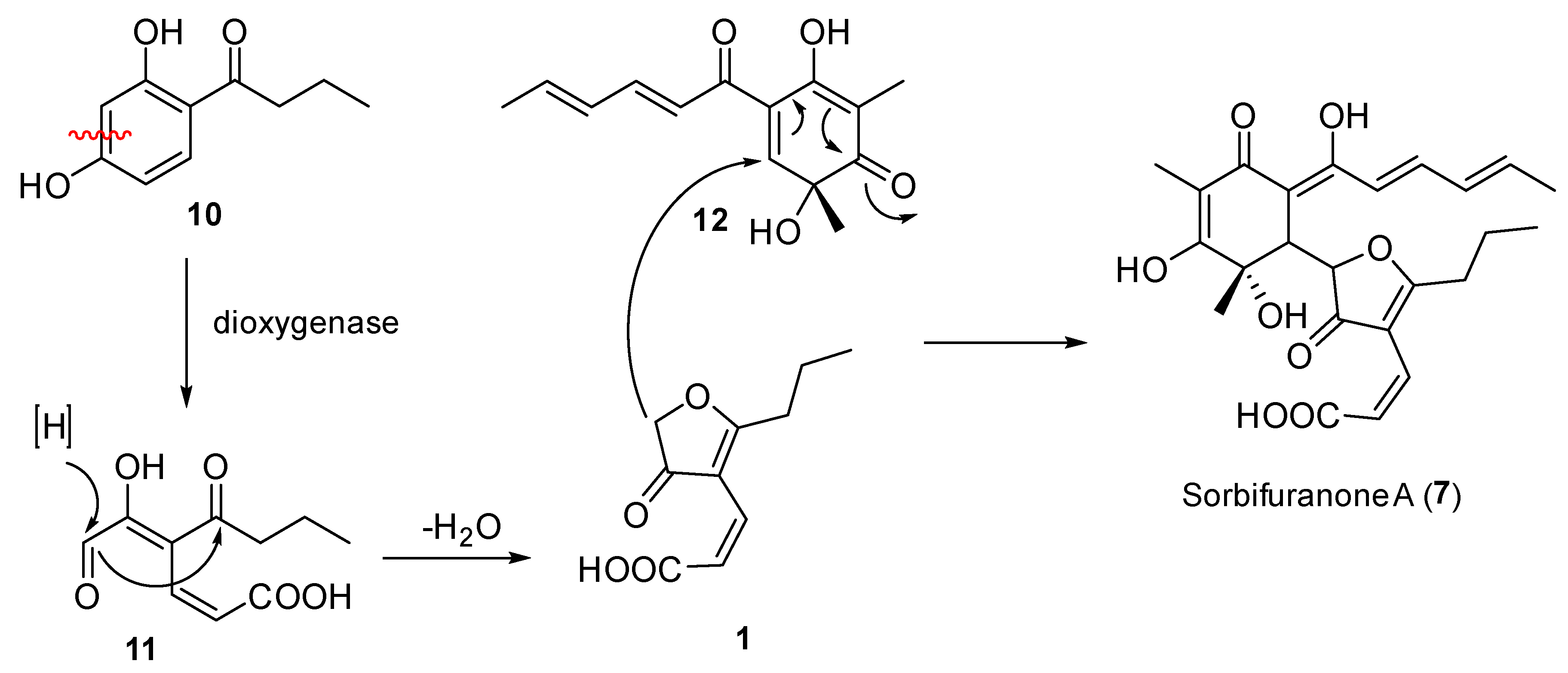 Molecules 26 03235 g006 Molecules 26 03235 g006