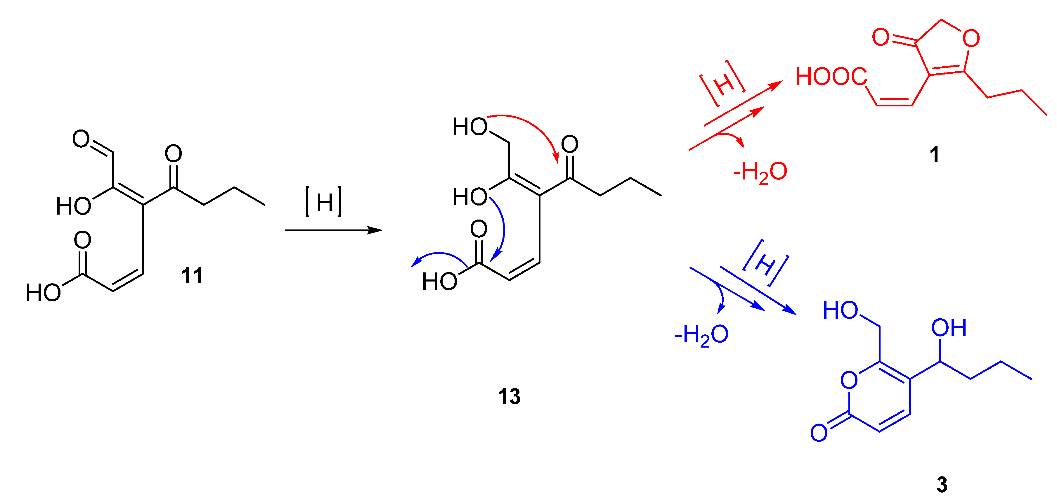 Molecules 26 03235 g007 Molecules 26 03235 g007