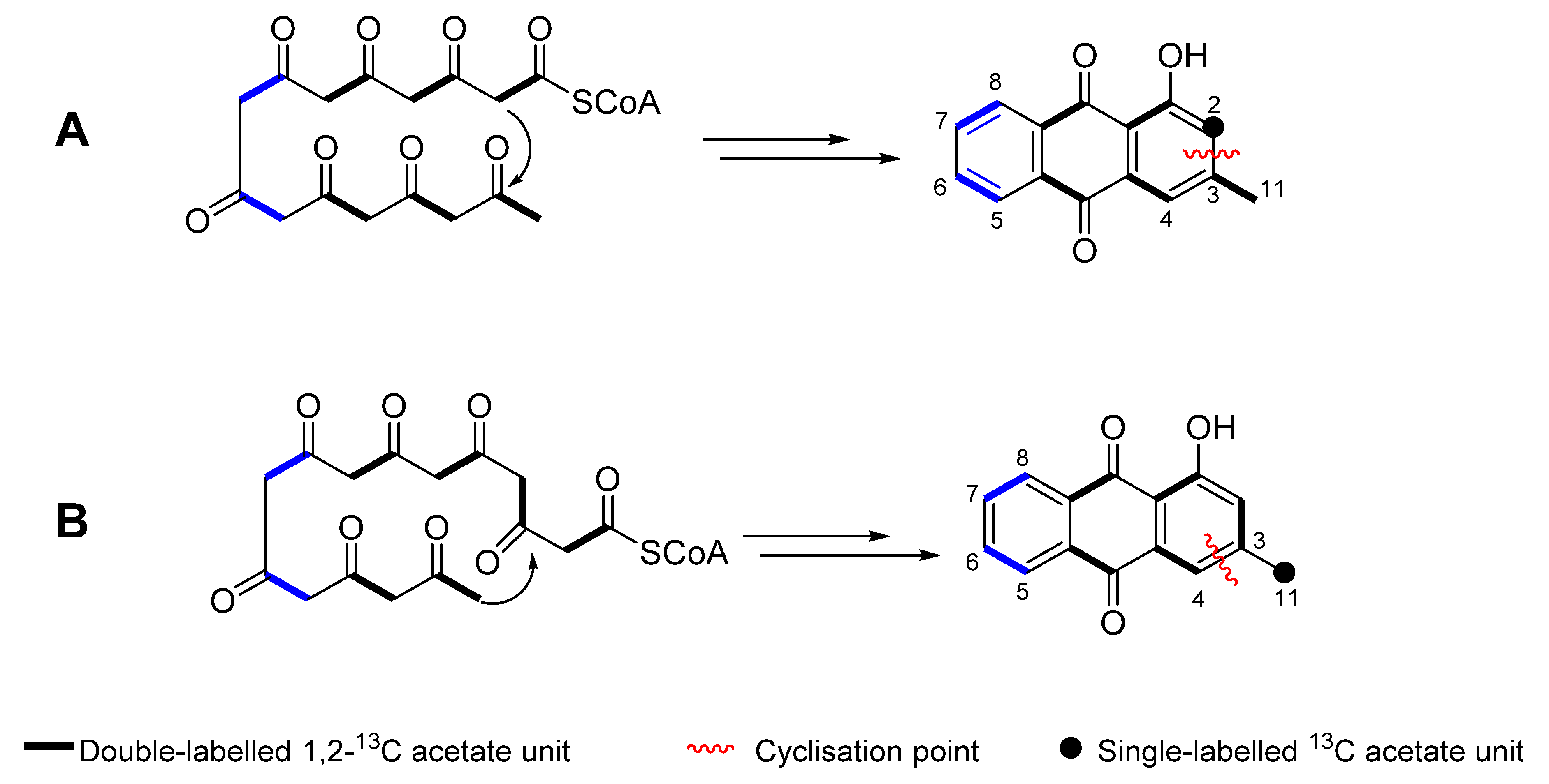 Molecules 26 03235 g009 Molecules 26 03235 g009
