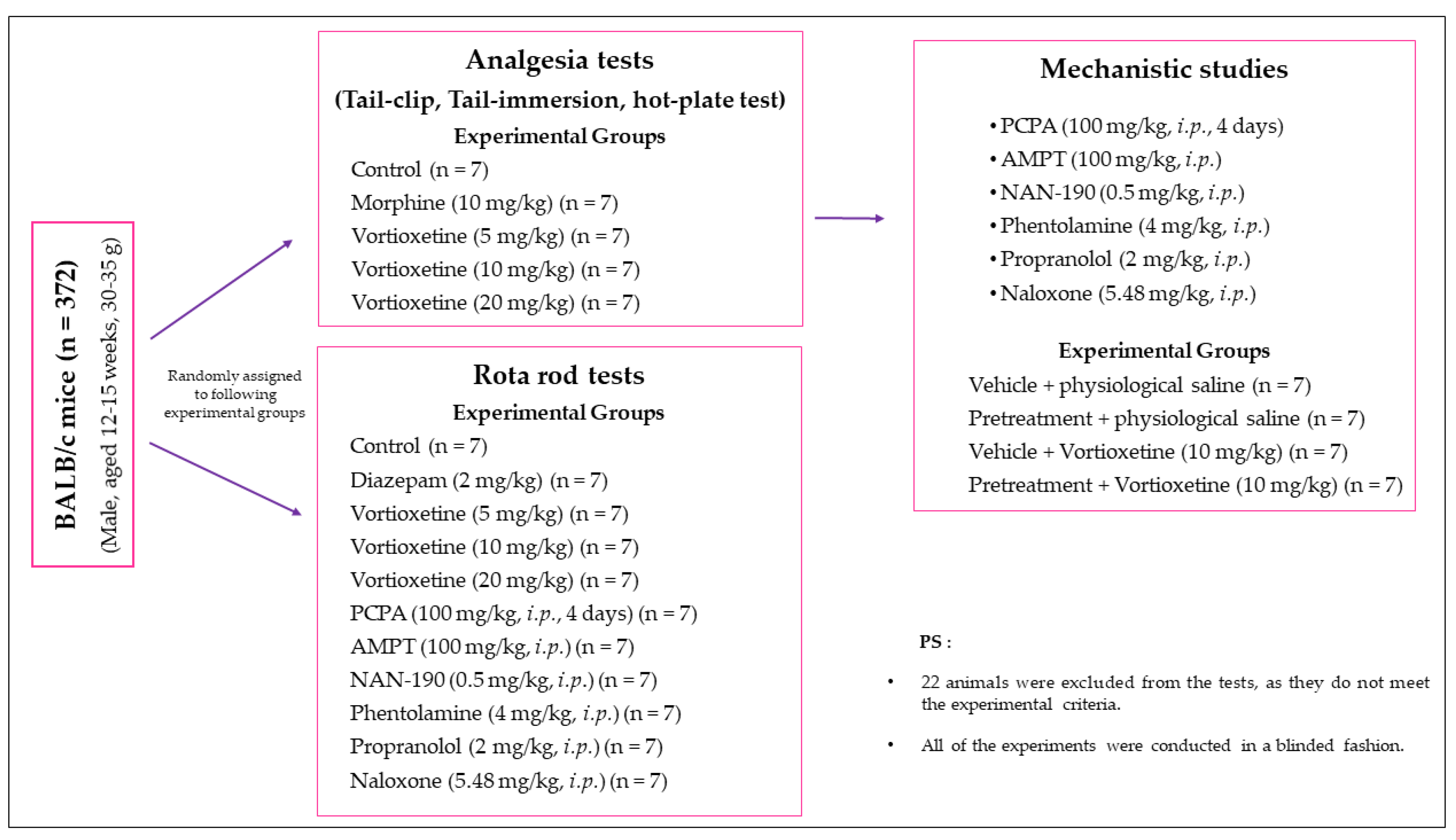 Molecules 26 03242 g011 Molecules 26 03242 g011