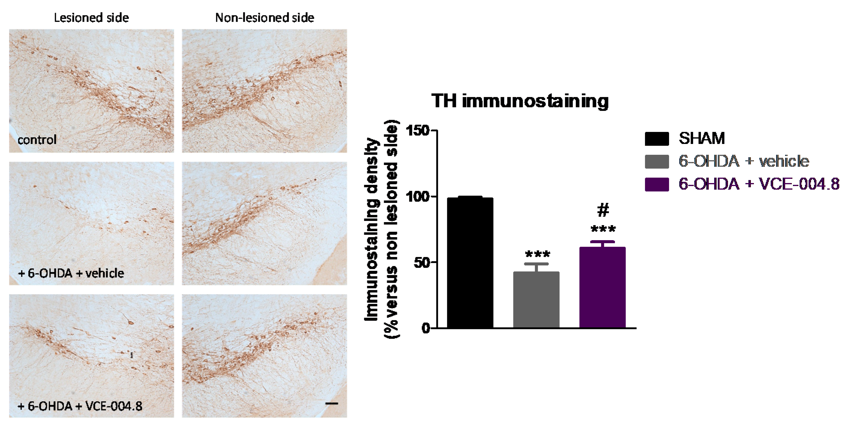 Molecules 26 03245 g003