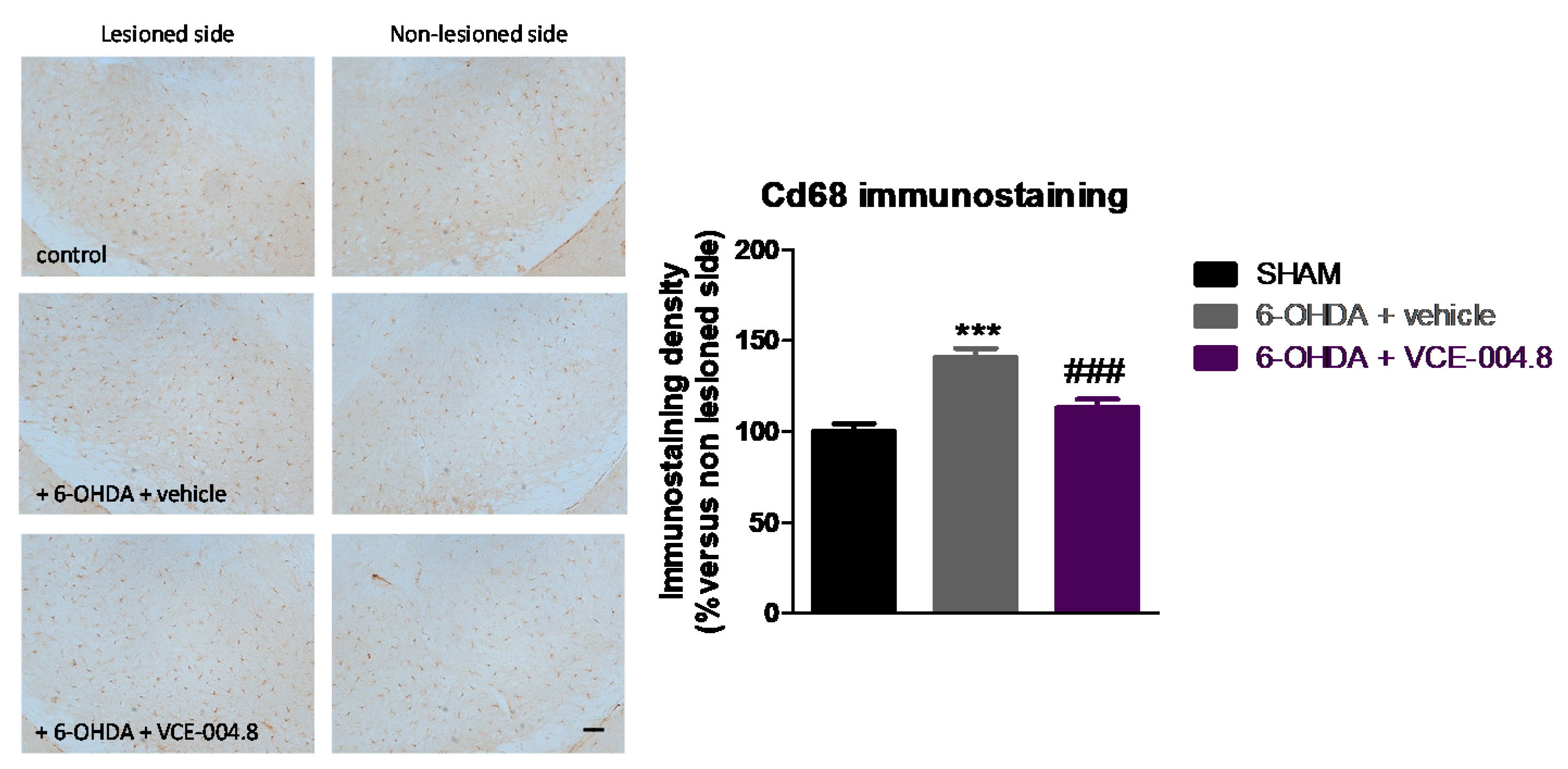 Molecules 26 03245 g004