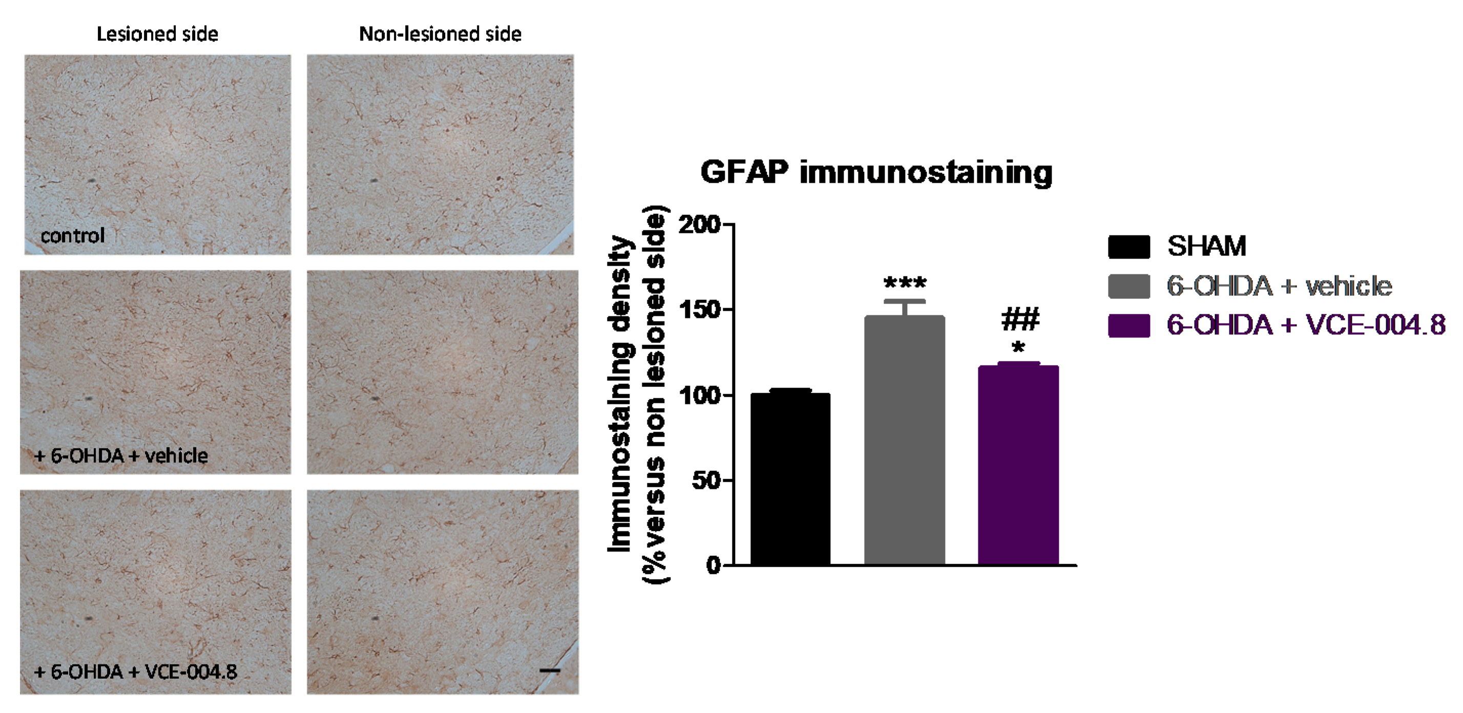 Molecules 26 03245 g005
