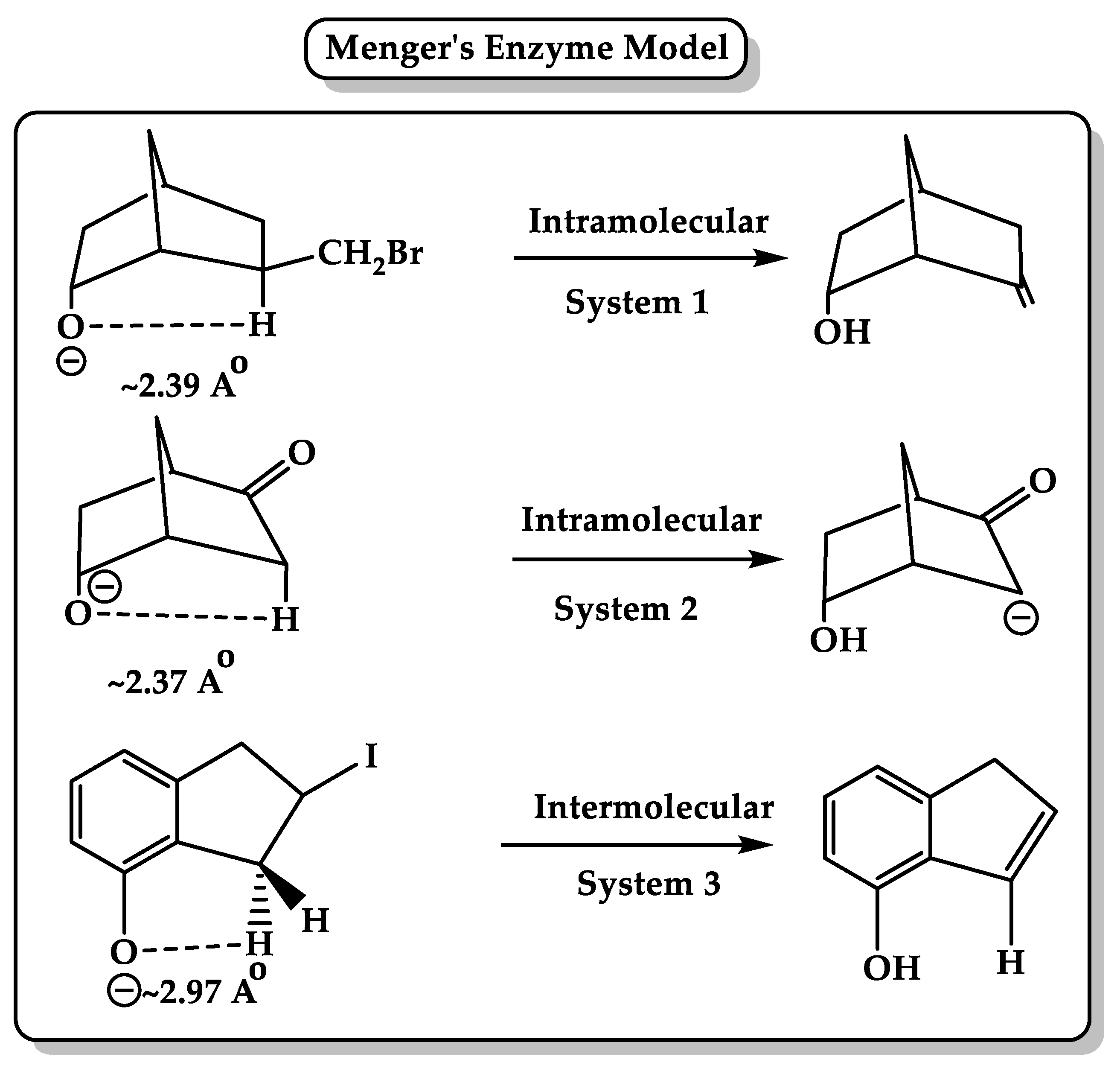 Enzymatic Catalysis Models