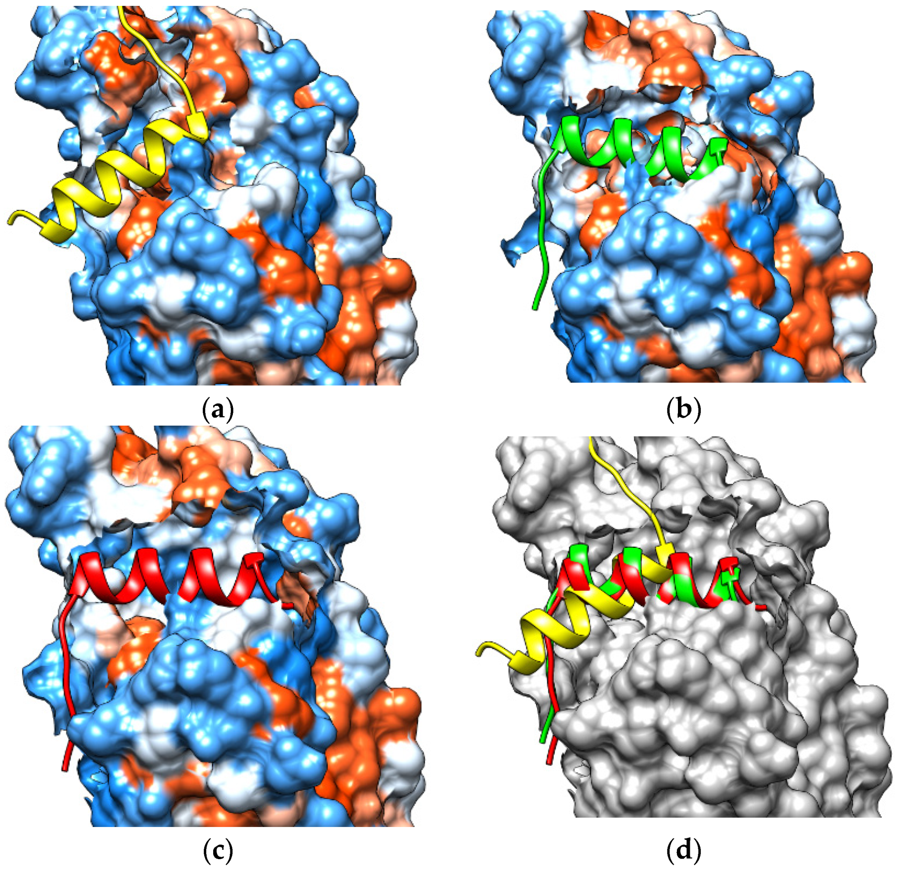 Molecules 26 03251 g012 Molecules 26 03251 g012