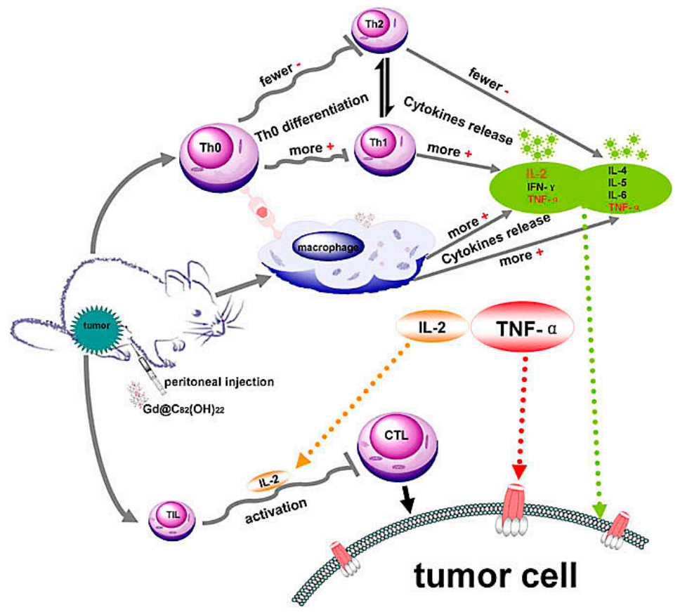 Molecules 26 03252 g002 Molecules 26 03252 g002