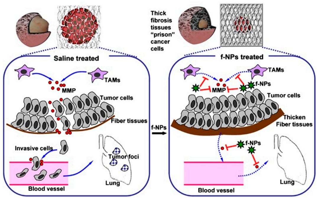 Molecules 26 03252 g004 Molecules 26 03252 g004