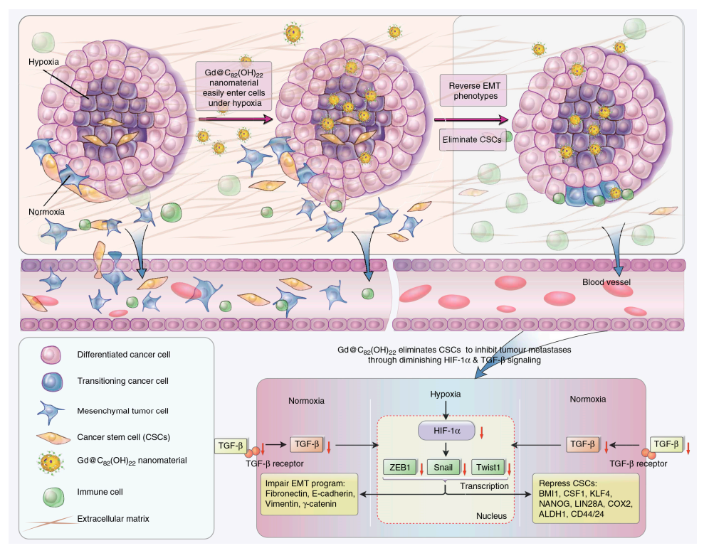 Molecules 26 03252 g005 Molecules 26 03252 g005