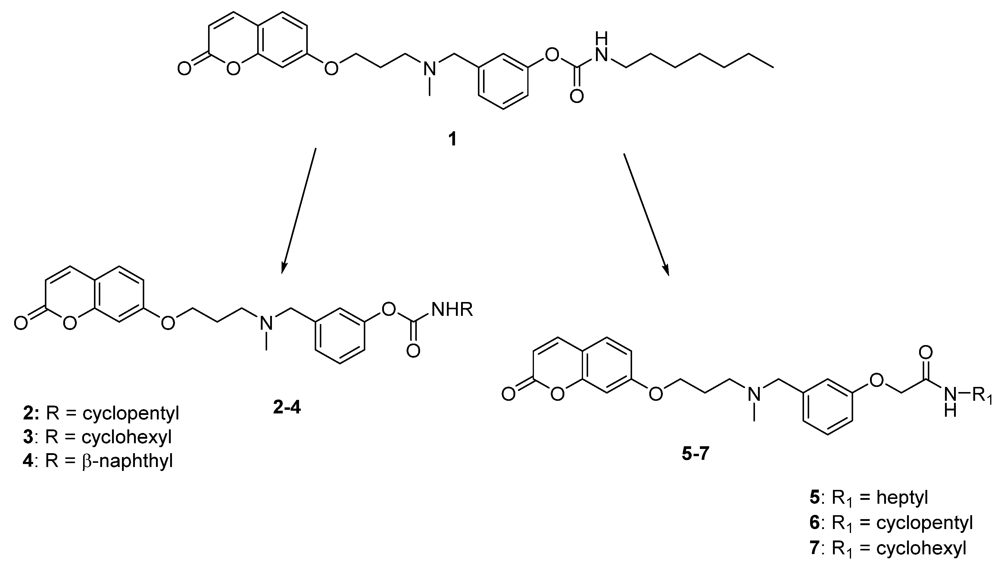 Molecules 26 03254 g001 Molecules 26 03254 g001