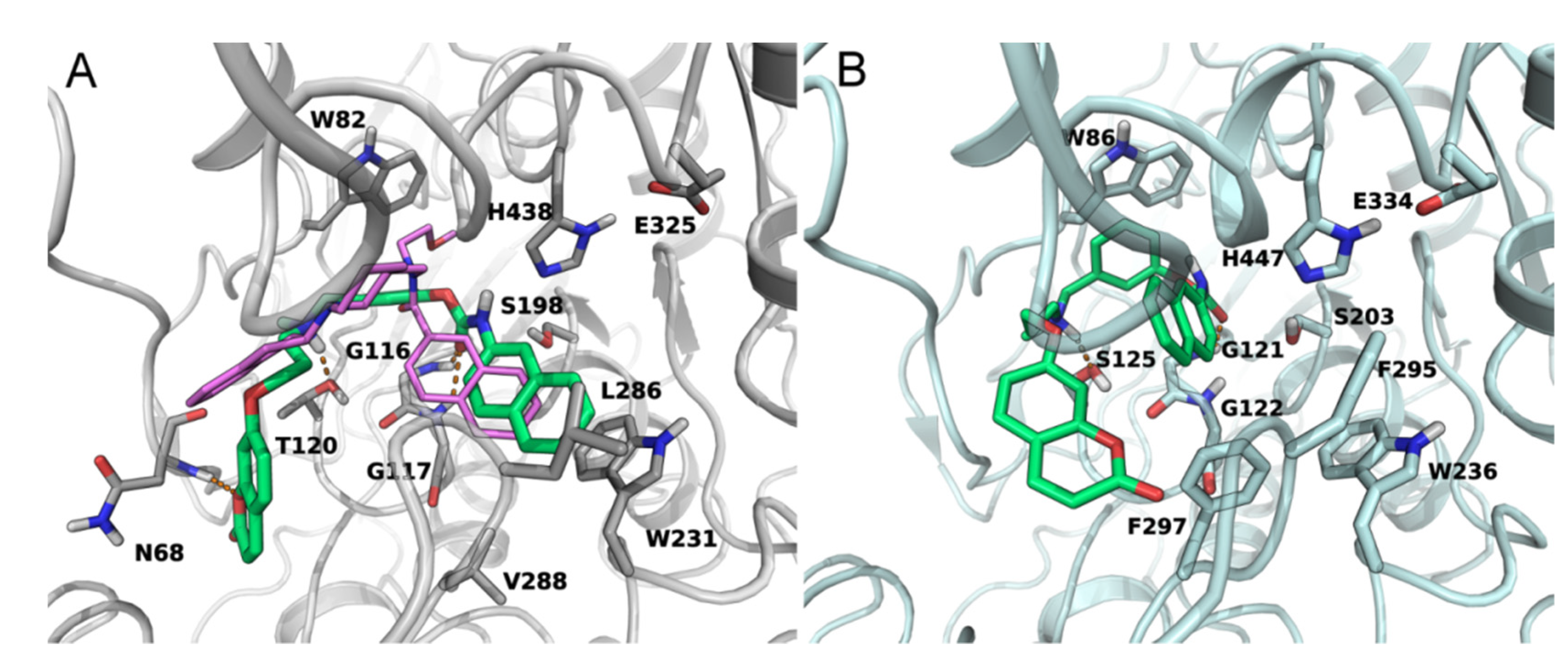Molecules 26 03254 g003 Molecules 26 03254 g003
