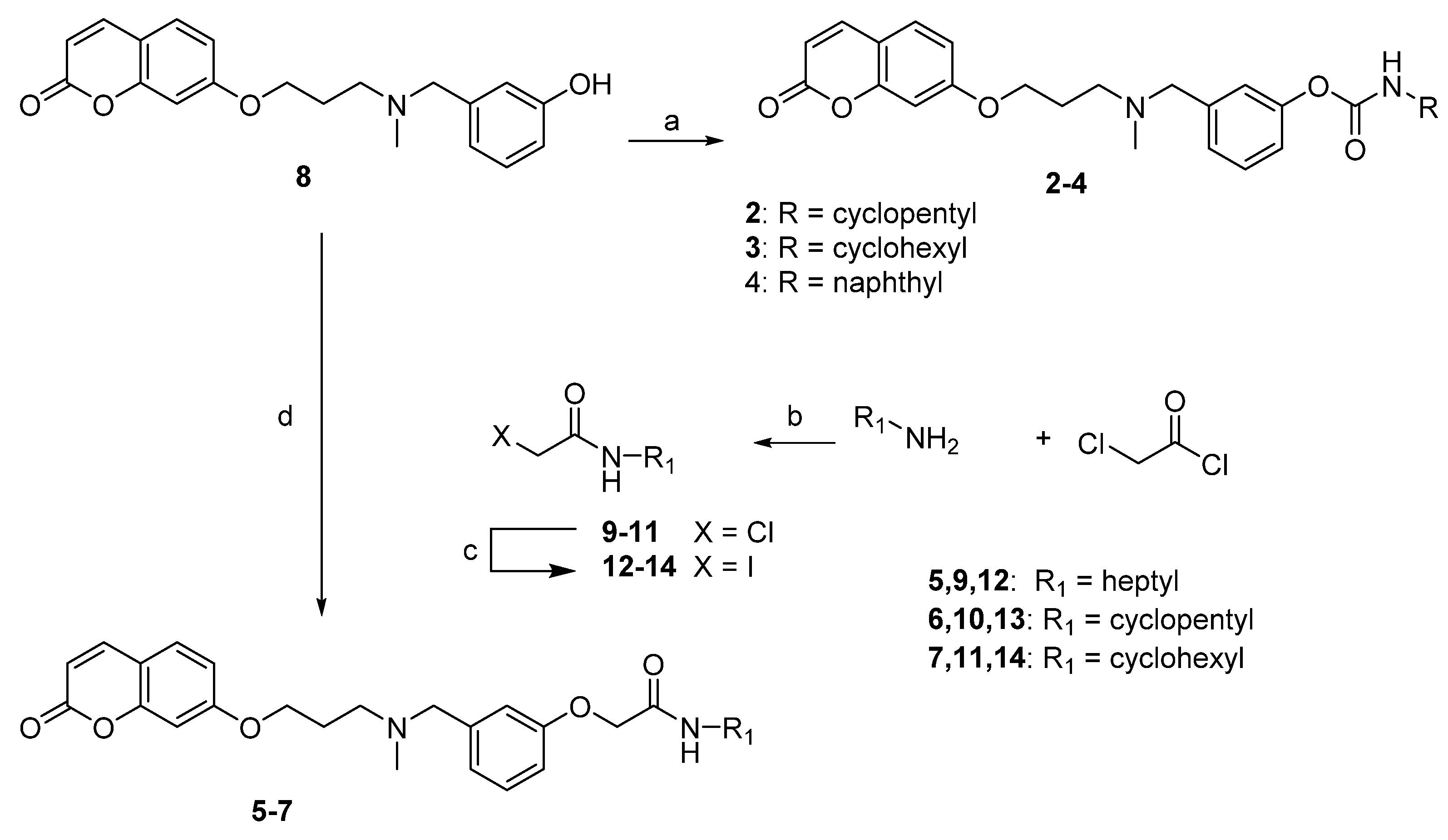 Molecules 26 03254 sch001 Molecules 26 03254 sch001