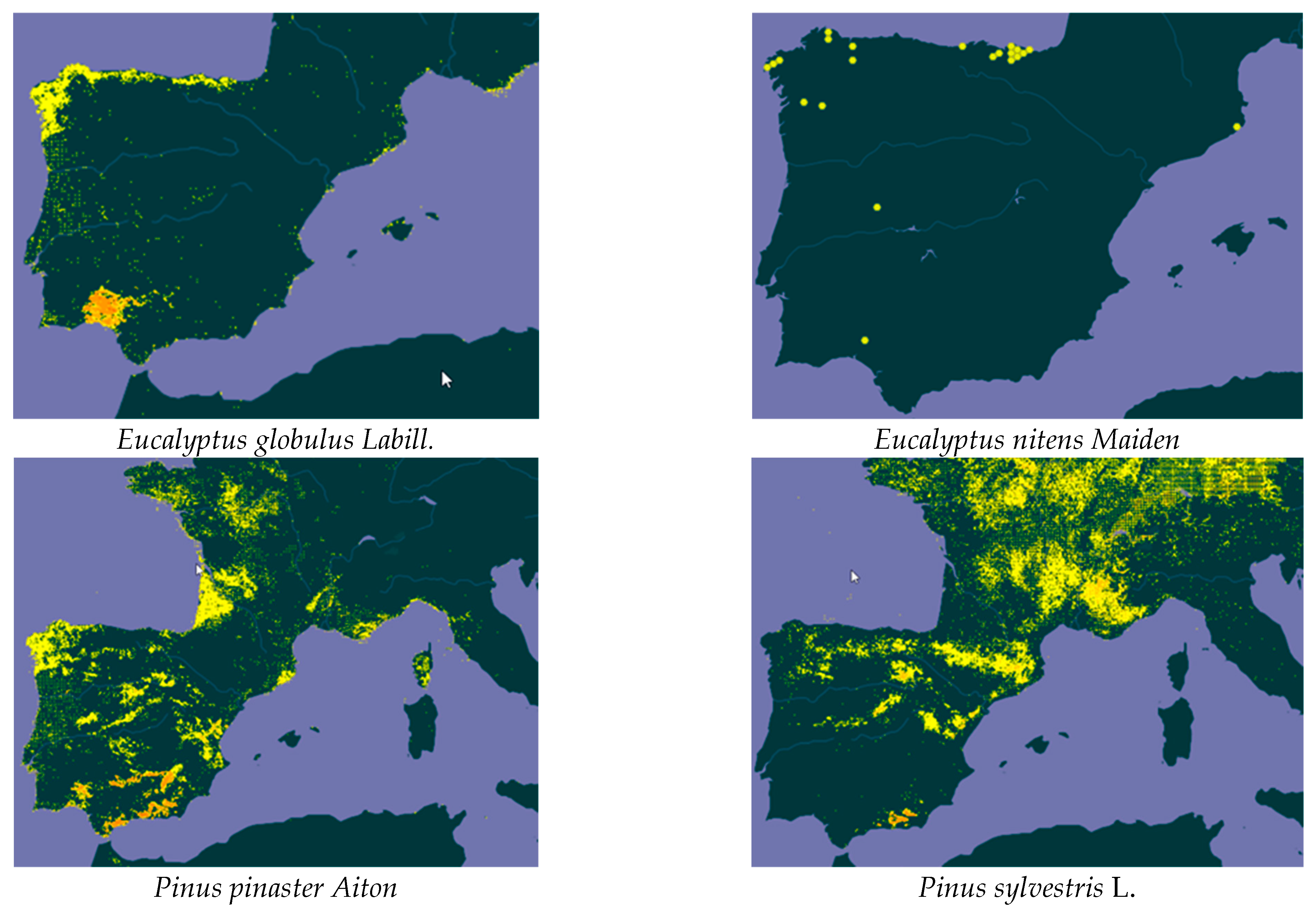 Mapa europa portugal - NAVARRA INFORMACIÓN