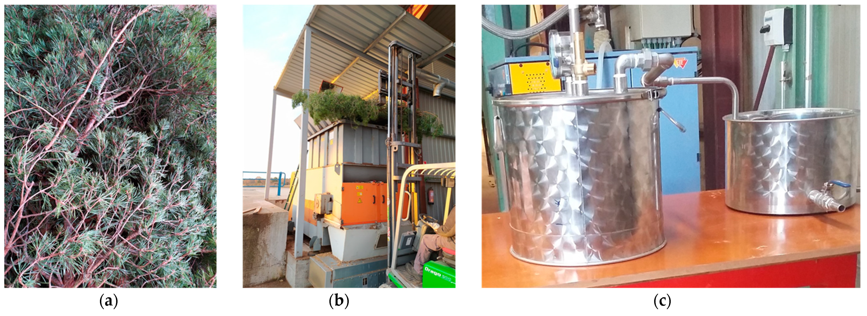 Molecules 26 03257 g003 Molecules 26 03257 g003
