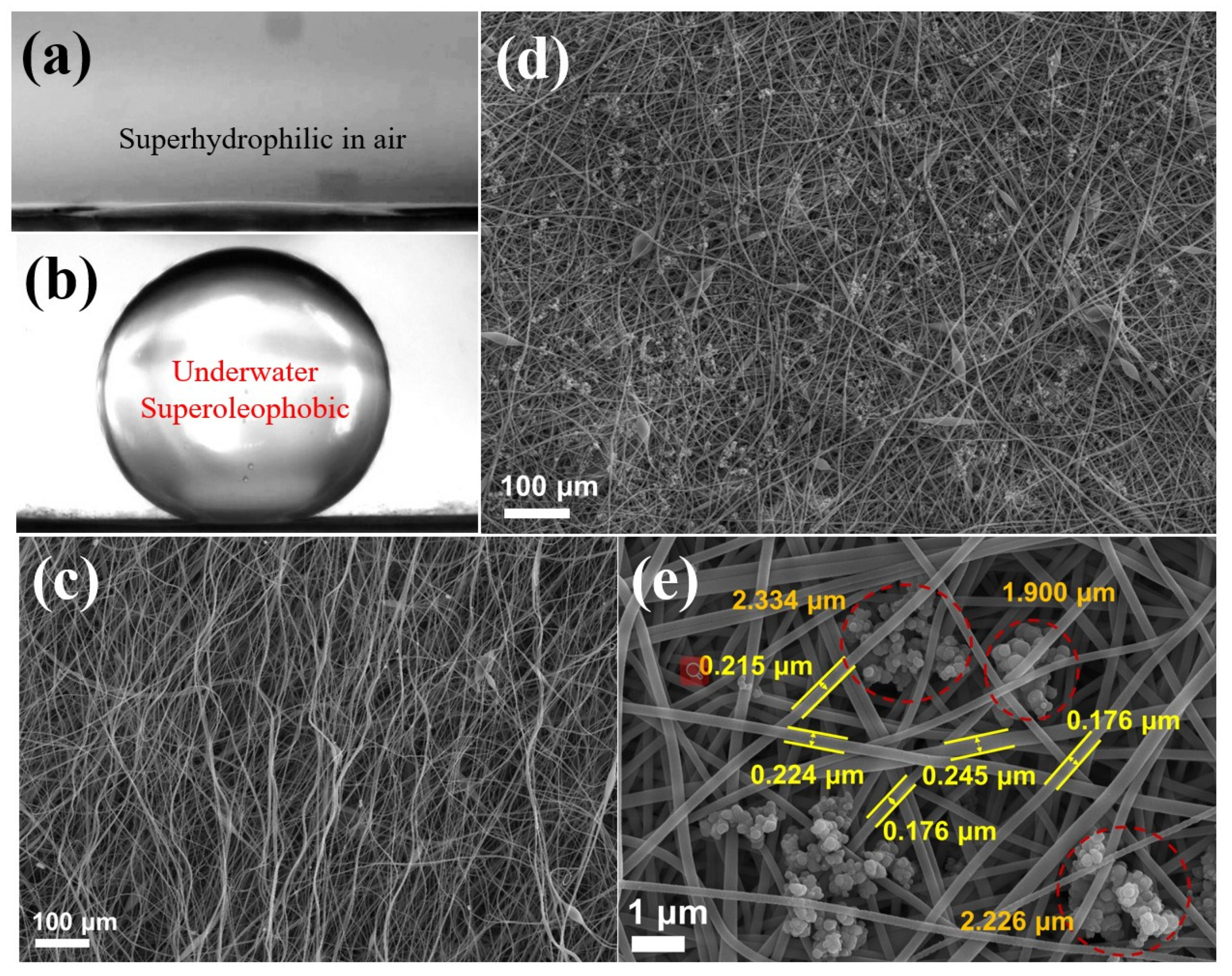 Molecules 26 03258 g001