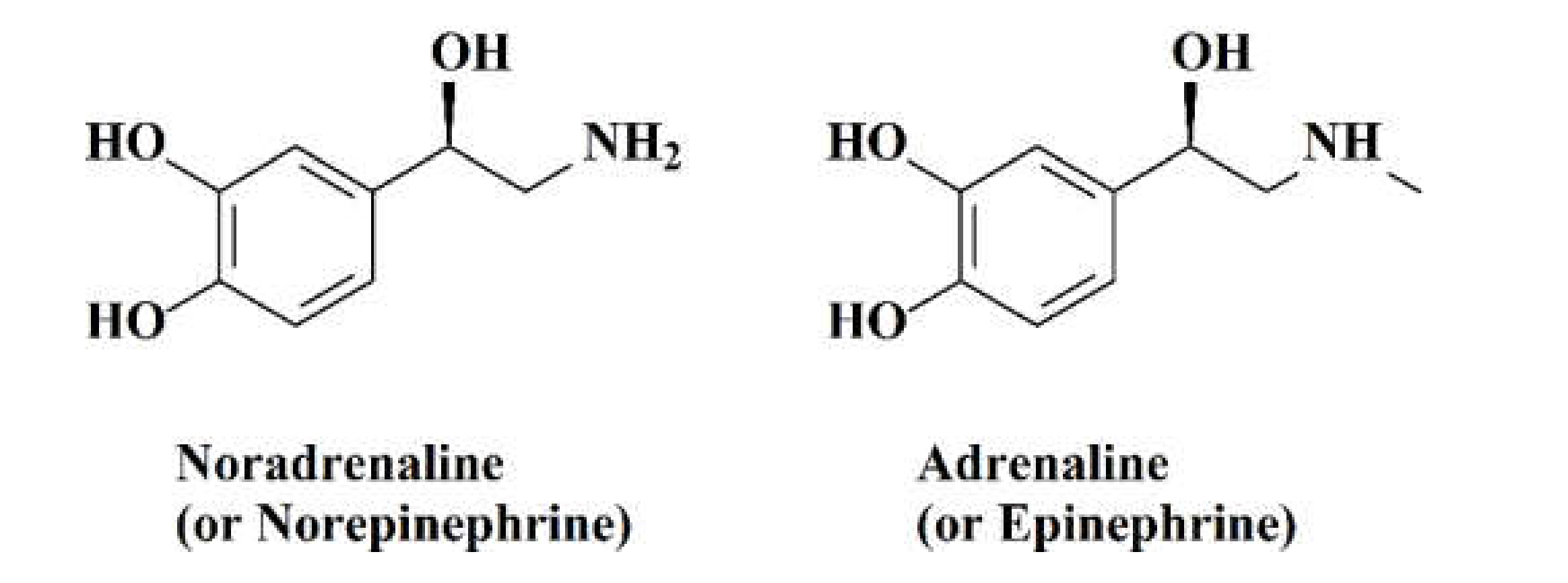 Molecules 26 03259 g001