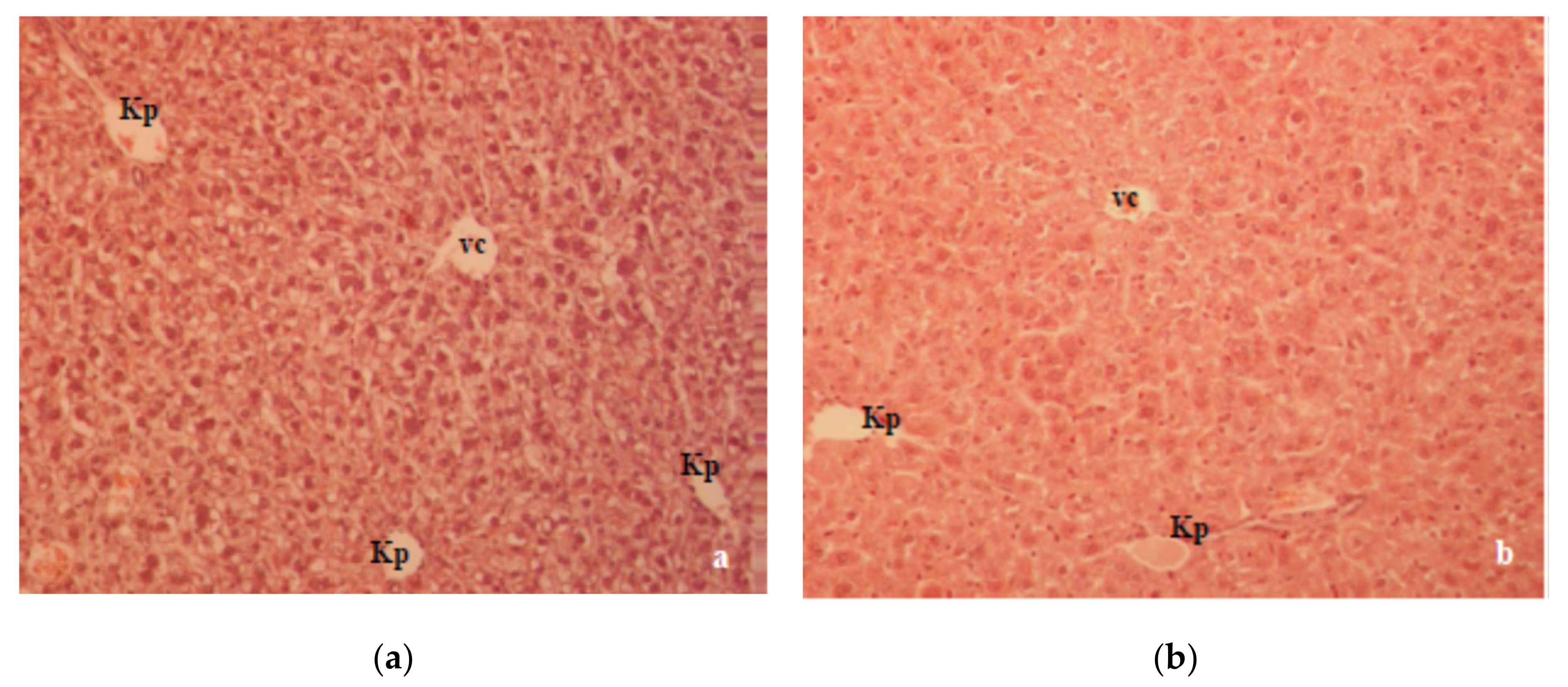 Molecules 26 03262 g006