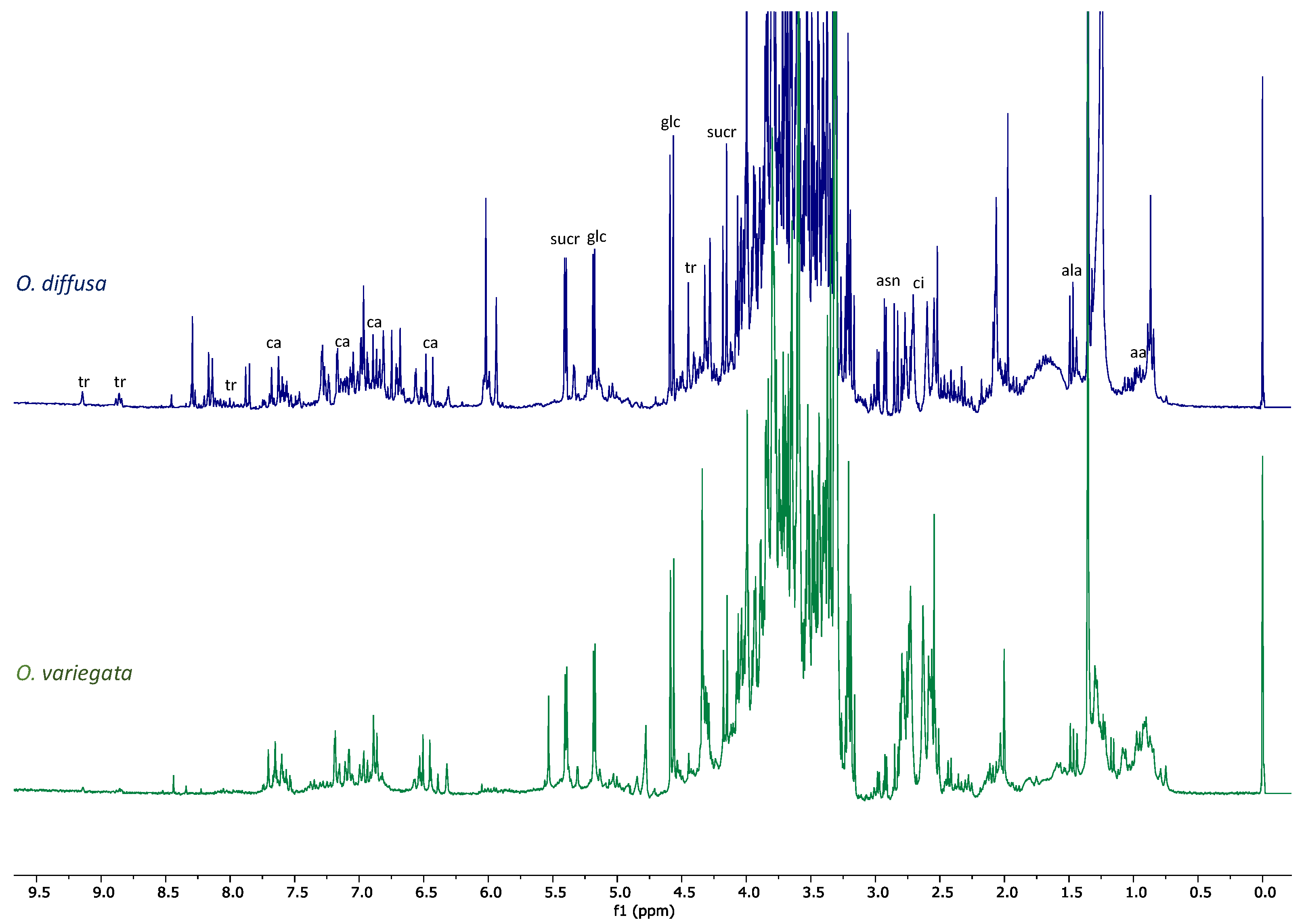 Molecules 26 03266 g003 Molecules 26 03266 g003