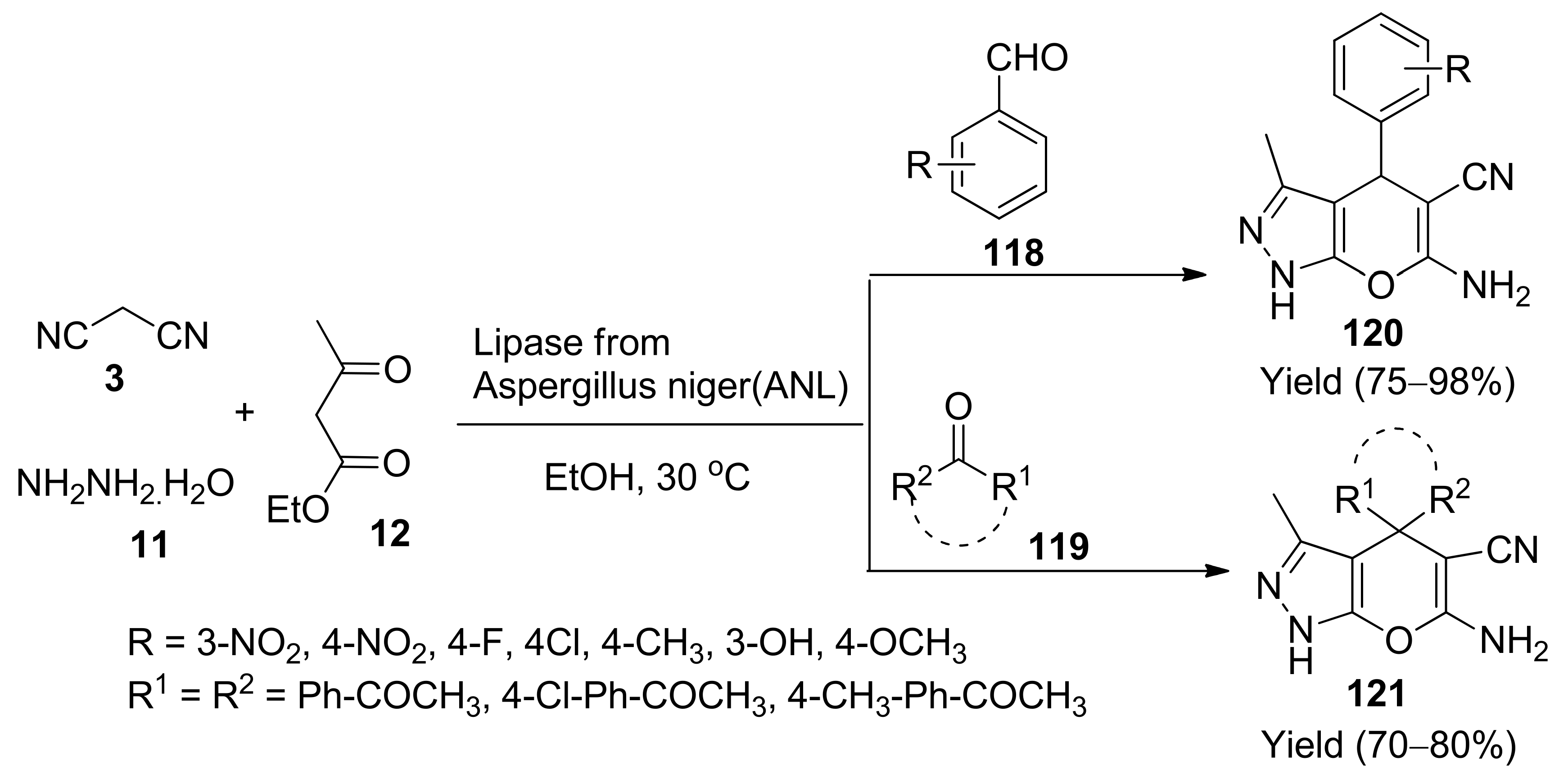 Molecules 26 03270 sch033