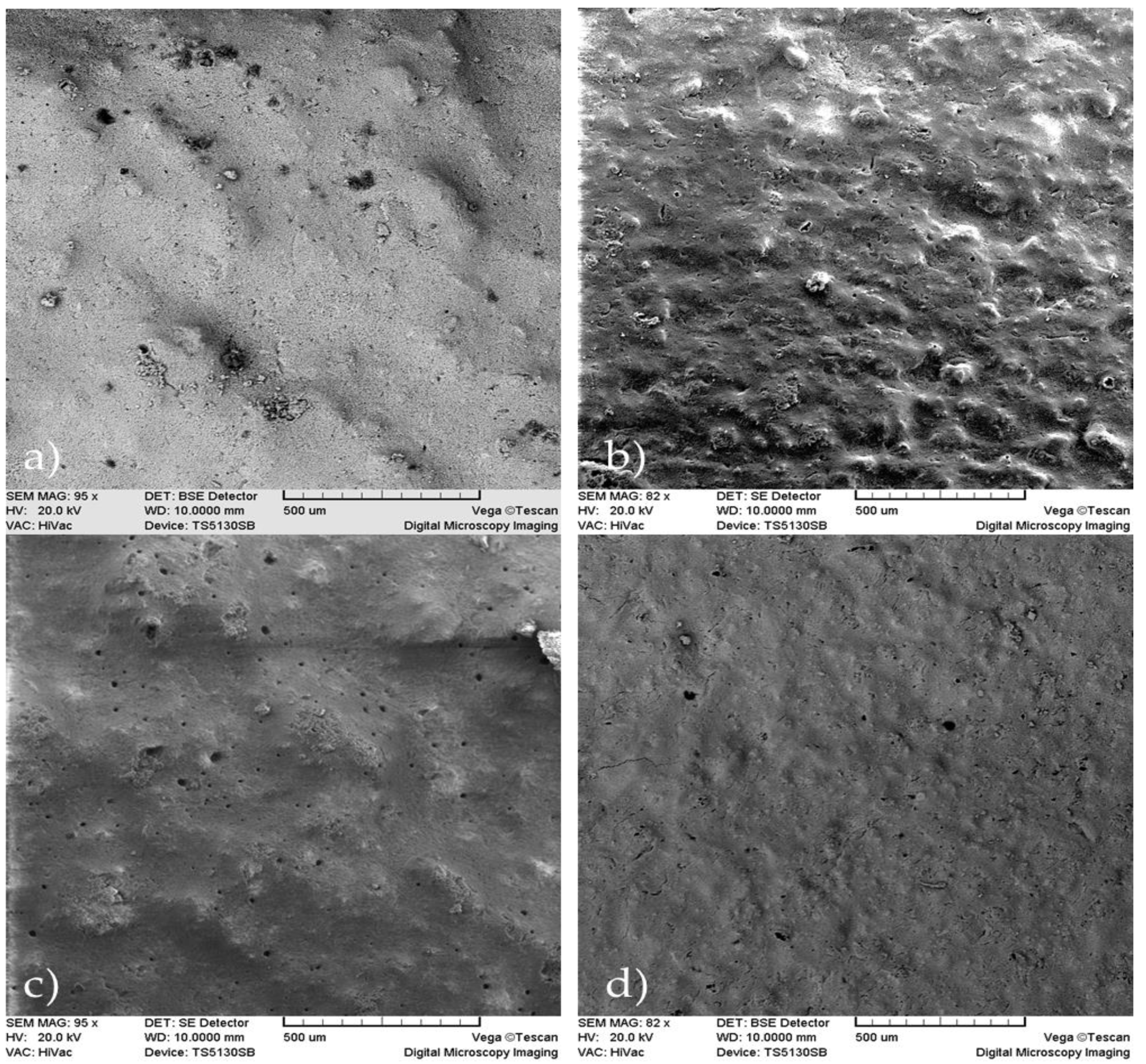 Molecules 26 03272 g002