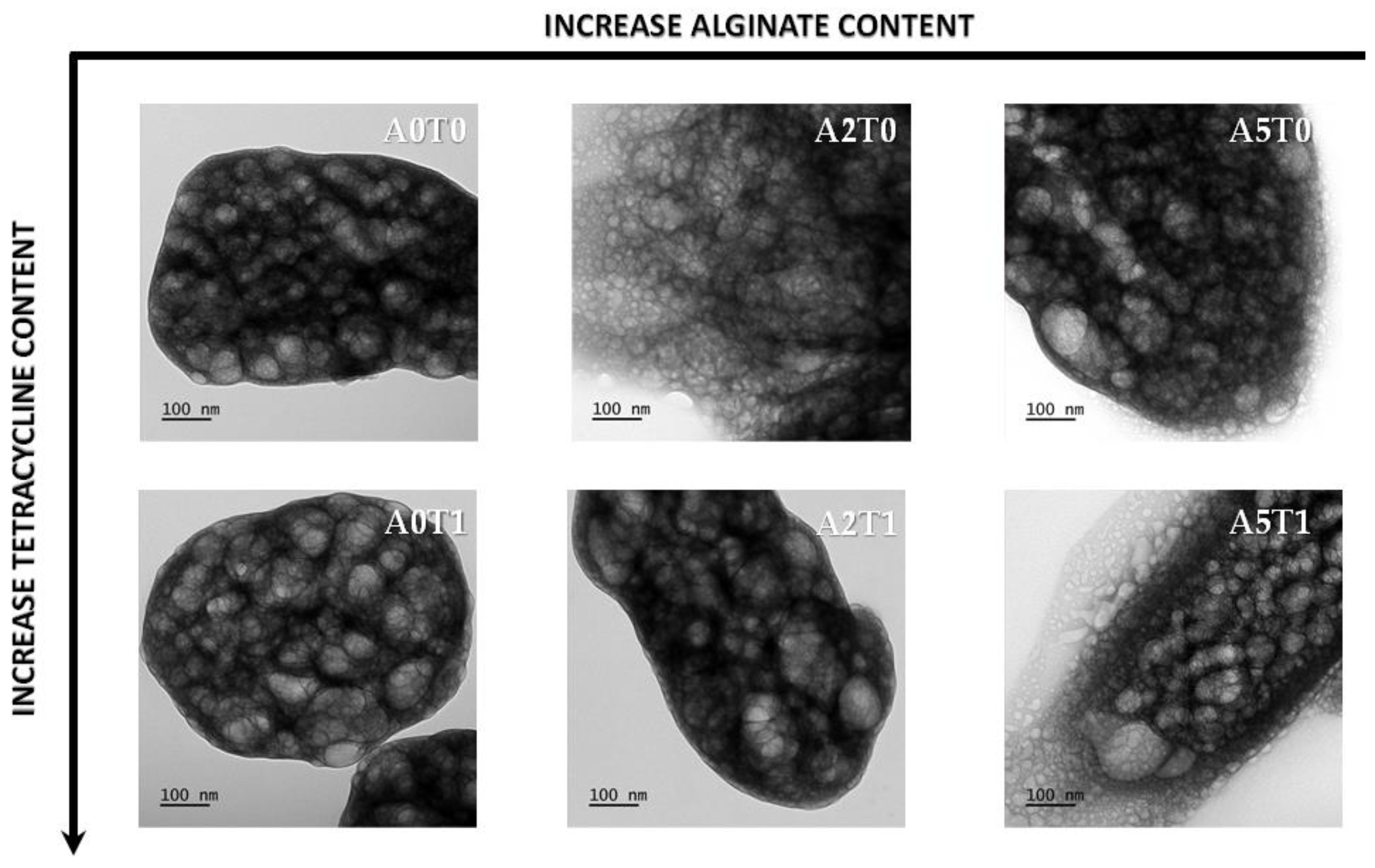 Molecules 26 03272 g003