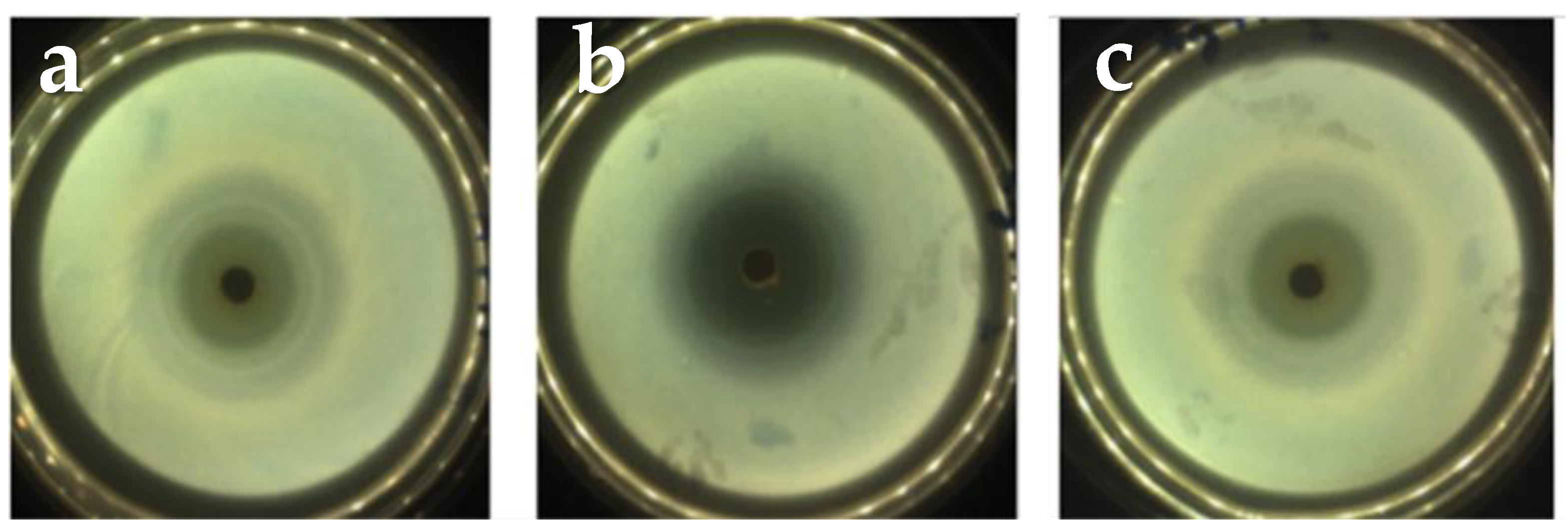 Molecules 26 03272 g005