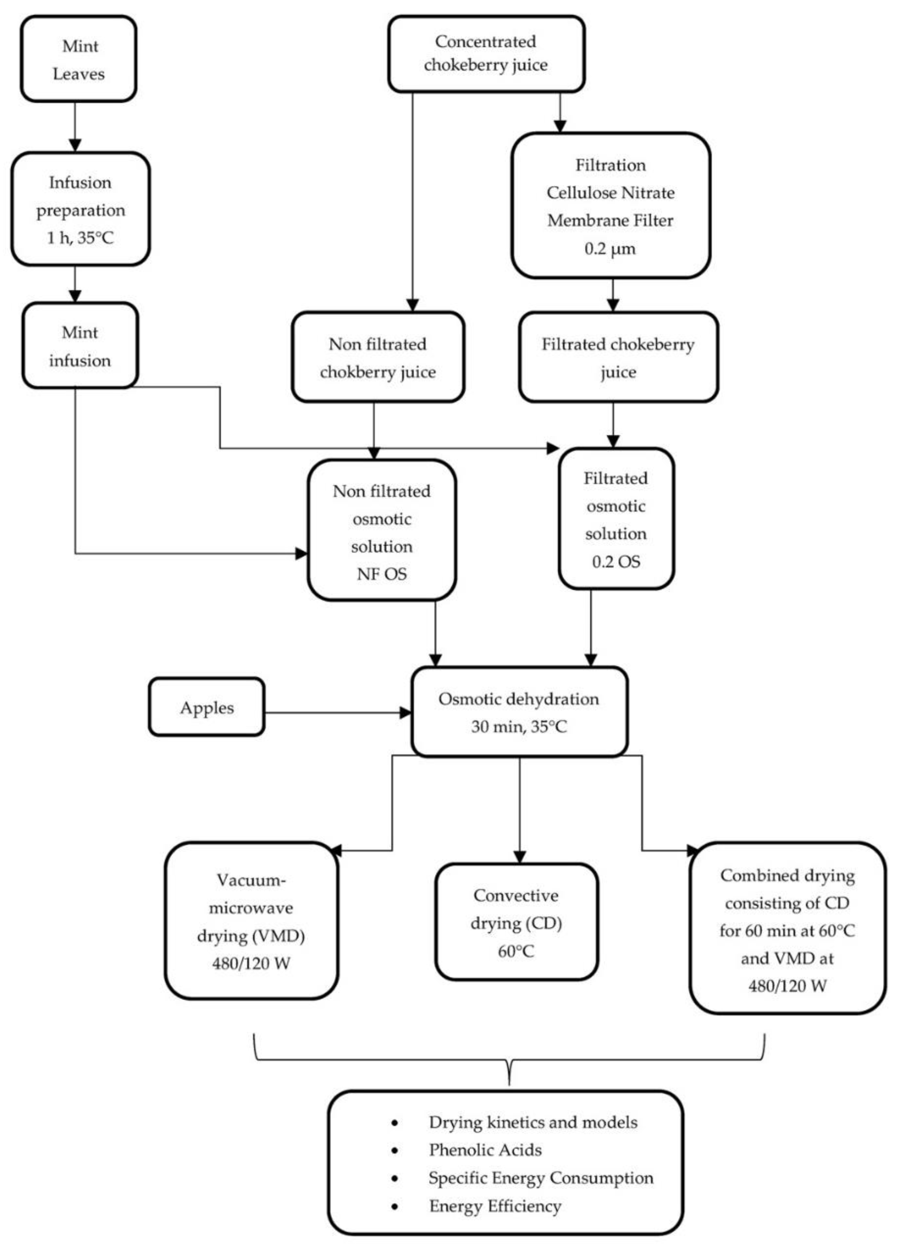 Molecules 26 03274 g005