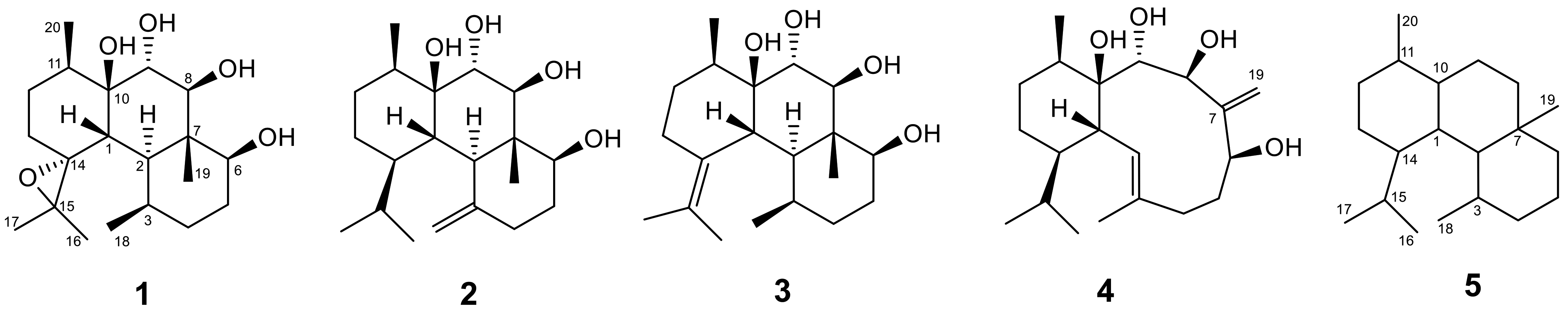 Molecules 26 03276 g001 Molecules 26 03276 g001