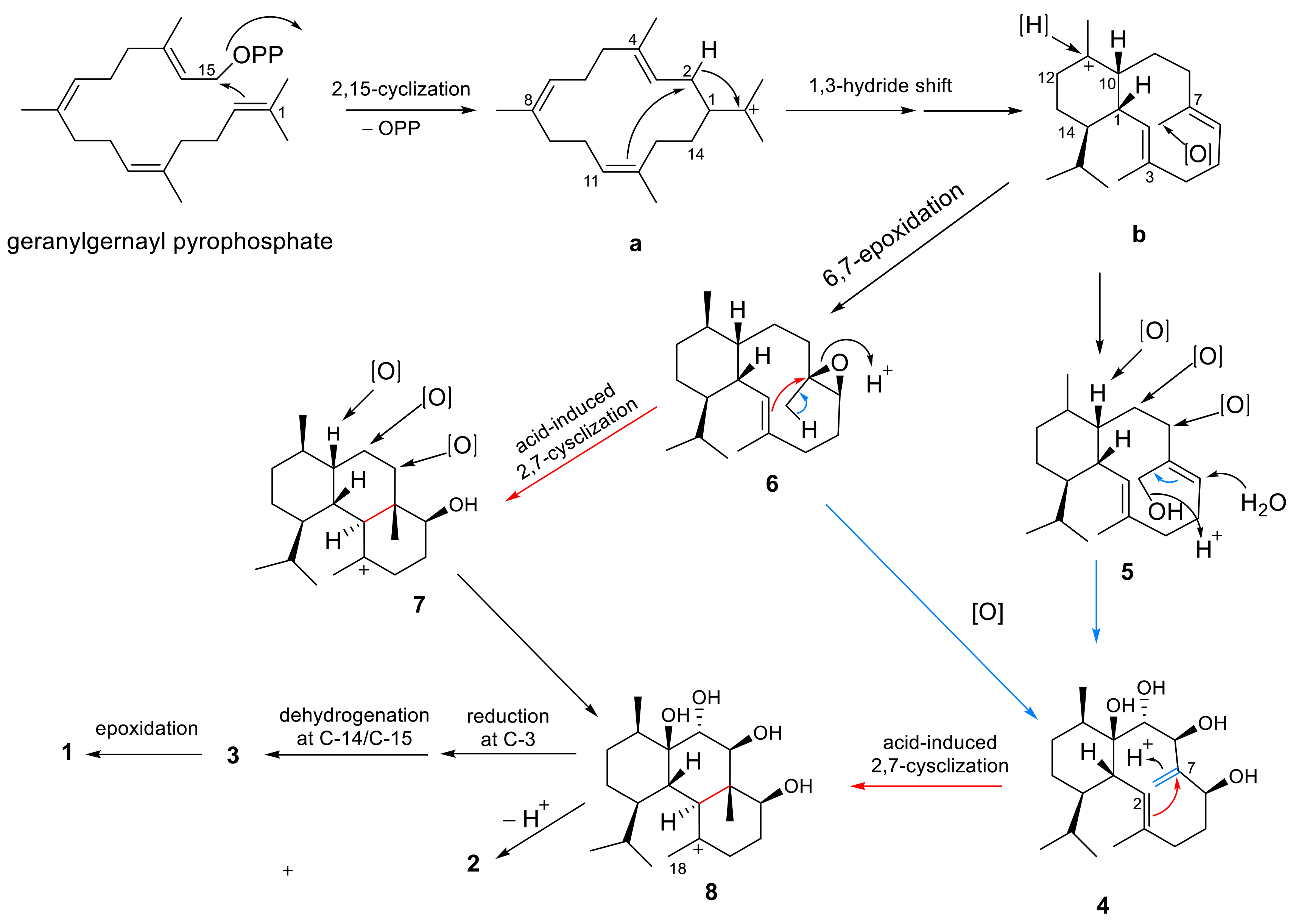 Molecules 26 03276 sch001 Molecules 26 03276 sch001