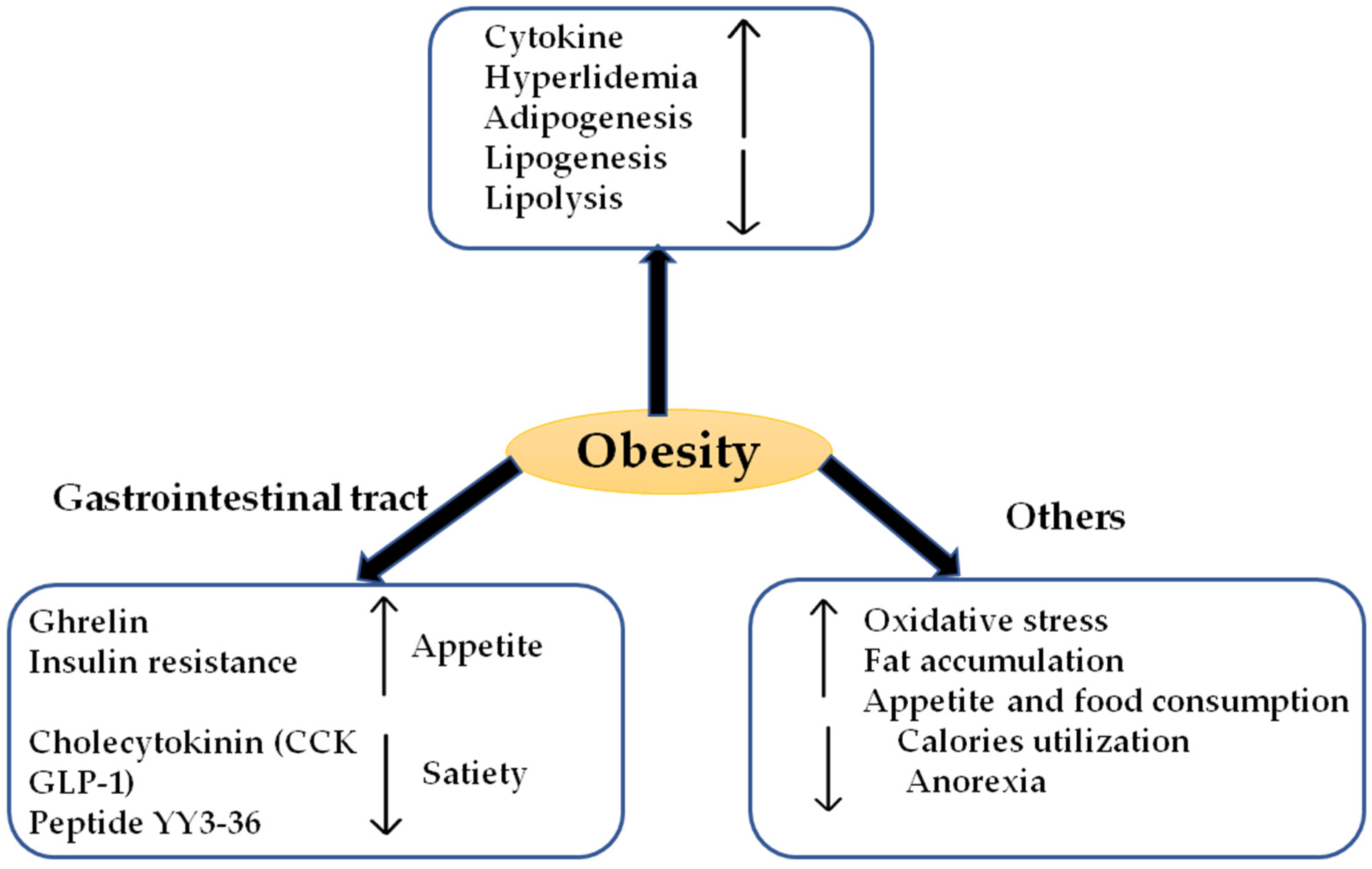Molecules Free Full Text A Review On Obesity Management Through Natural Compounds And A Green Nanomedicine Based Approach Html Molecules Free Full Text A Review On Obesity Management Through Natural Compounds And A Green Nanomedicine Based Approach Html