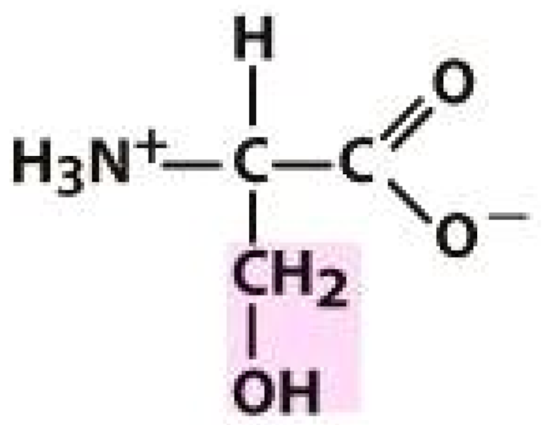 Molecules 26 03279 i002 Molecules 26 03279 i002