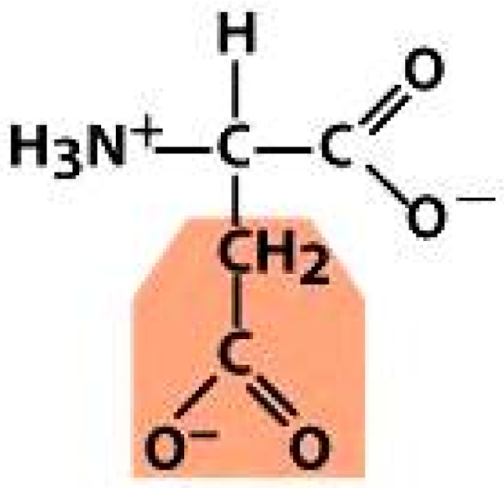 Molecules 26 03279 i003 Molecules 26 03279 i003
