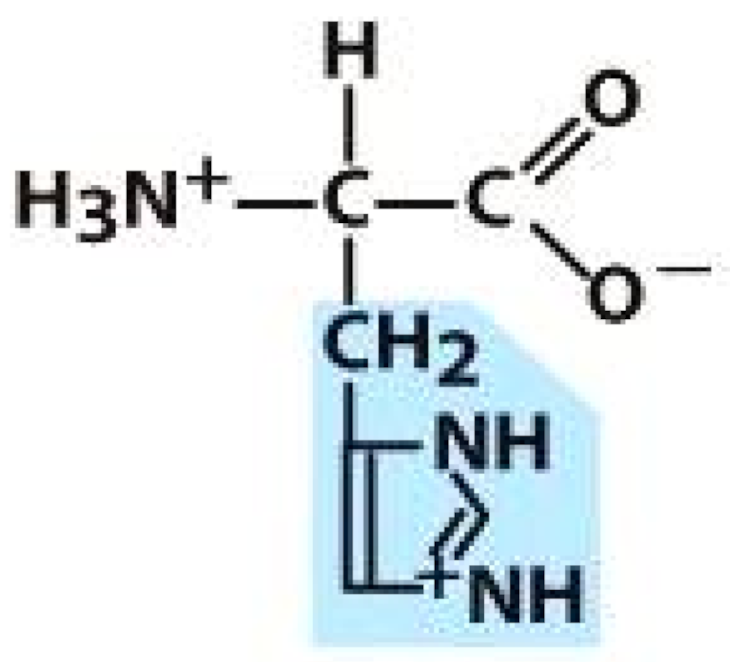 Molecules 26 03279 i004 Molecules 26 03279 i004