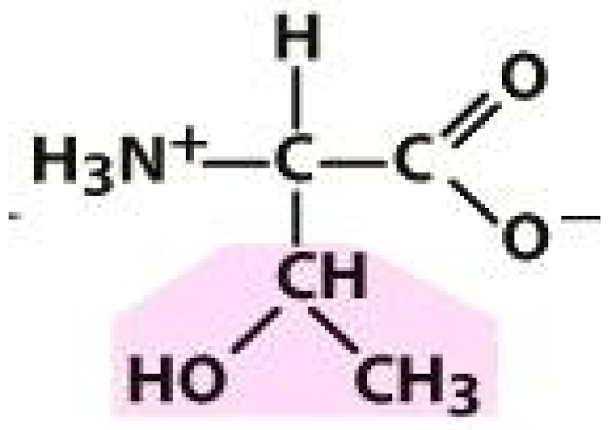 Molecules 26 03279 i006 Molecules 26 03279 i006