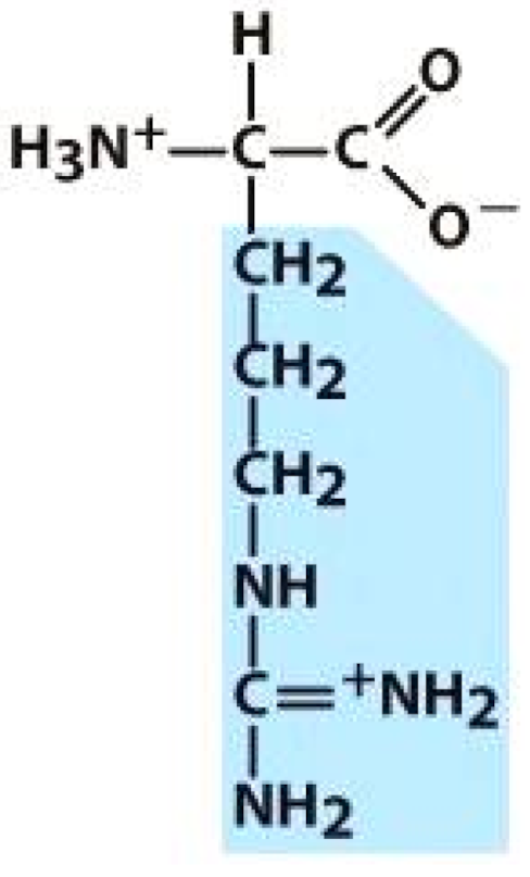 Molecules 26 03279 i008 Molecules 26 03279 i008