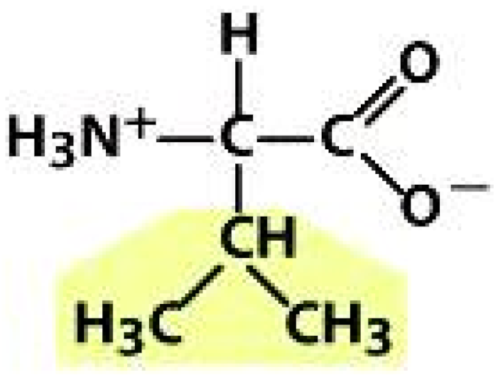 Molecules 26 03279 i009 Molecules 26 03279 i009