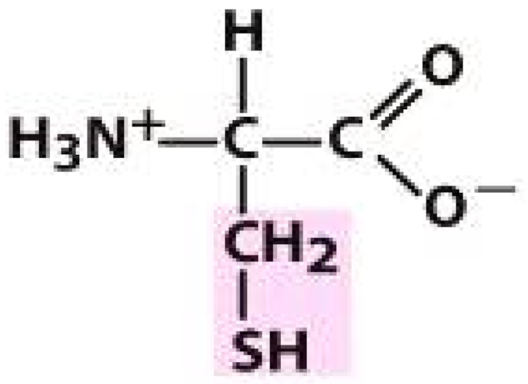 Molecules 26 03279 i010 Molecules 26 03279 i010