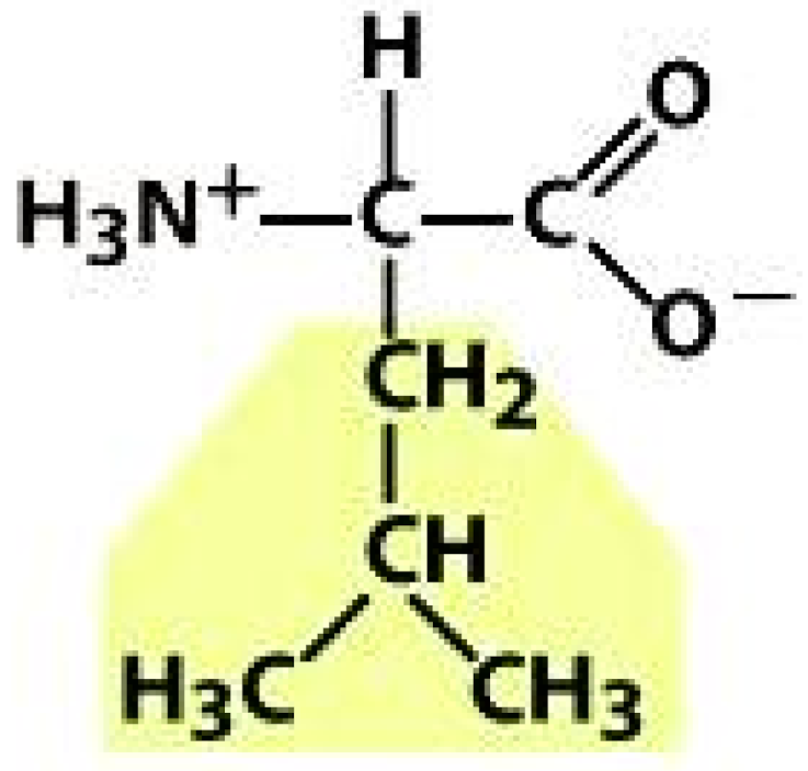 Molecules 26 03279 i012 Molecules 26 03279 i012