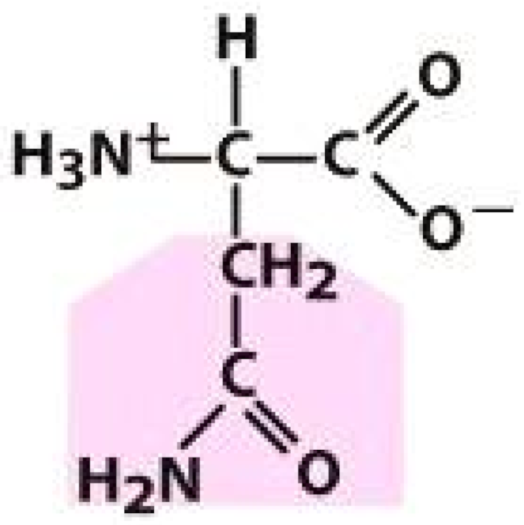 Molecules 26 03279 i015 Molecules 26 03279 i015