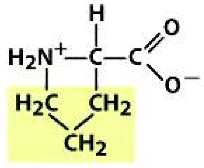 Molecules 26 03279 i016 Molecules 26 03279 i016