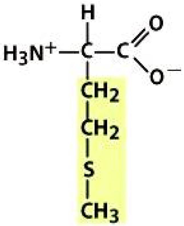 Molecules 26 03279 i020 Molecules 26 03279 i020